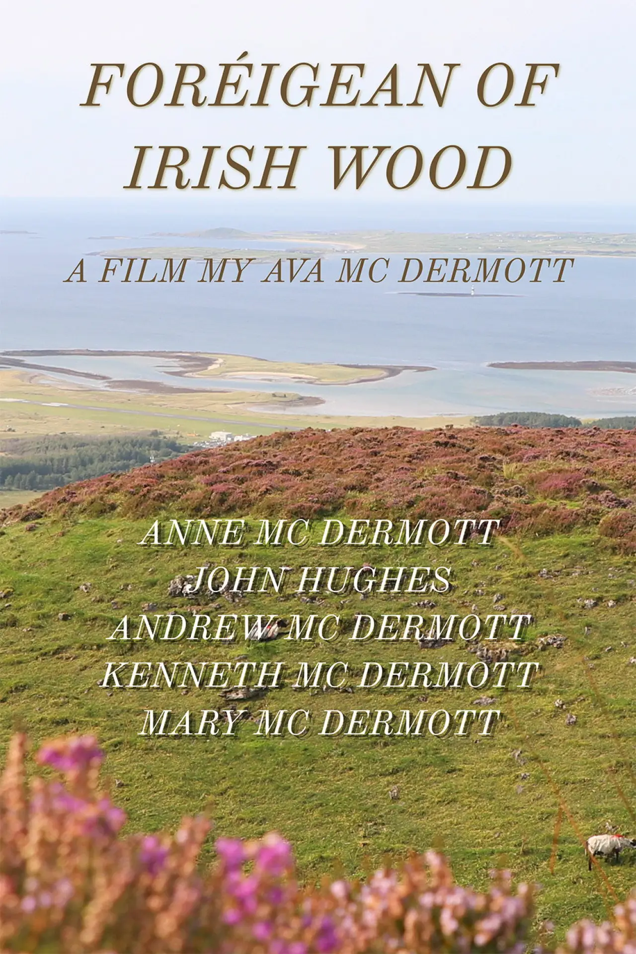 Plakat filmowy "Foreigean of the Irish Woods"