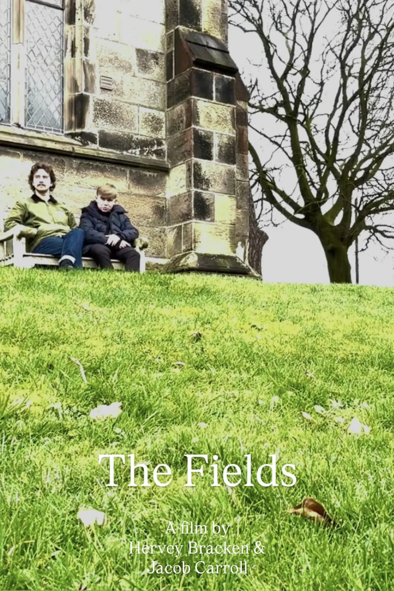 Plakat filmowy "The Fields"
