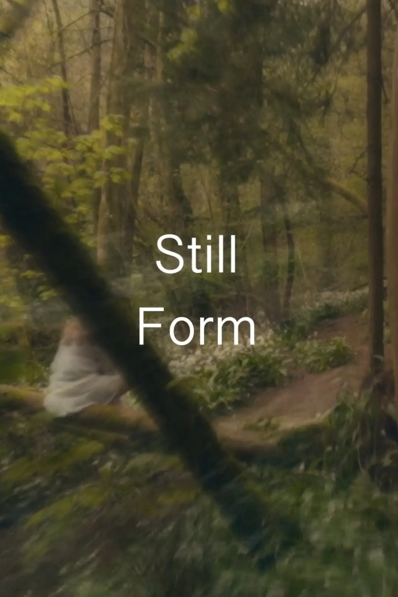 Plakat filmowy "Still Form"