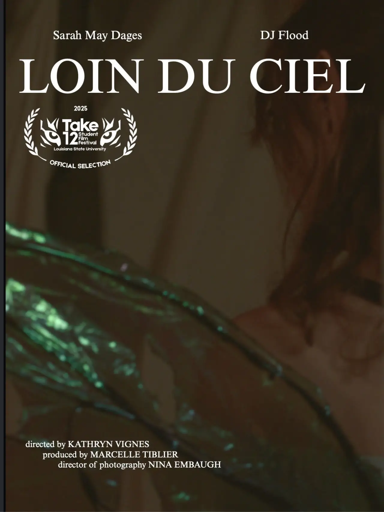 Plakat filmowy "Loin Du Ciel"