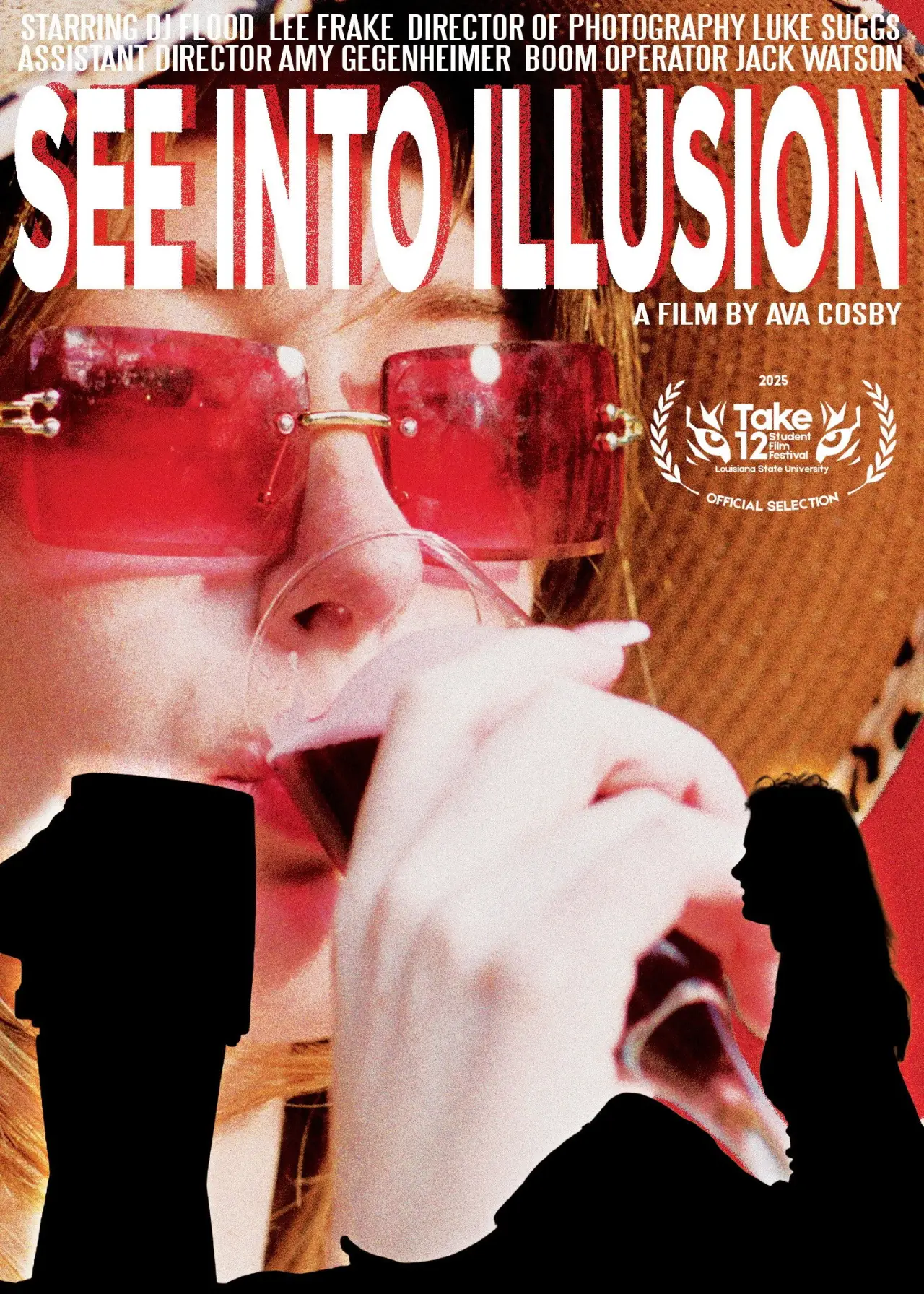 Plakat filmowy "See Into Illusion"