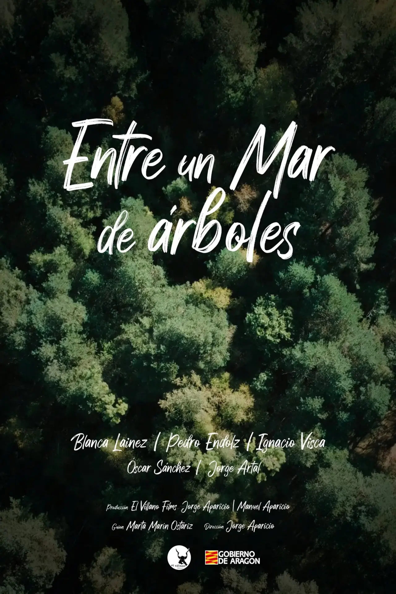 Plakat filmowy "Entre un mar de árboles"
