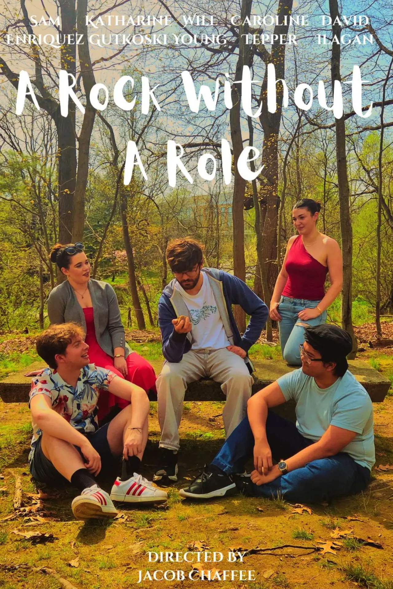 Plakat filmowy "A Rock Without a Role"