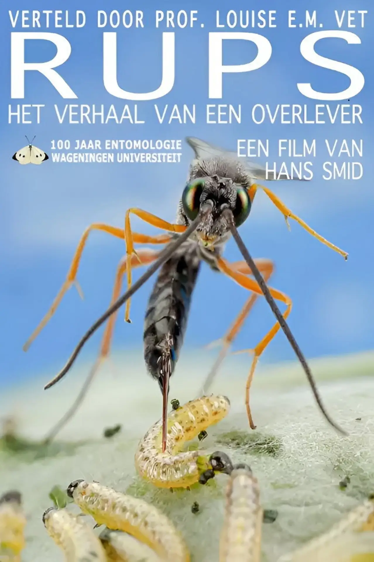 Plakat filmowy "Rups"