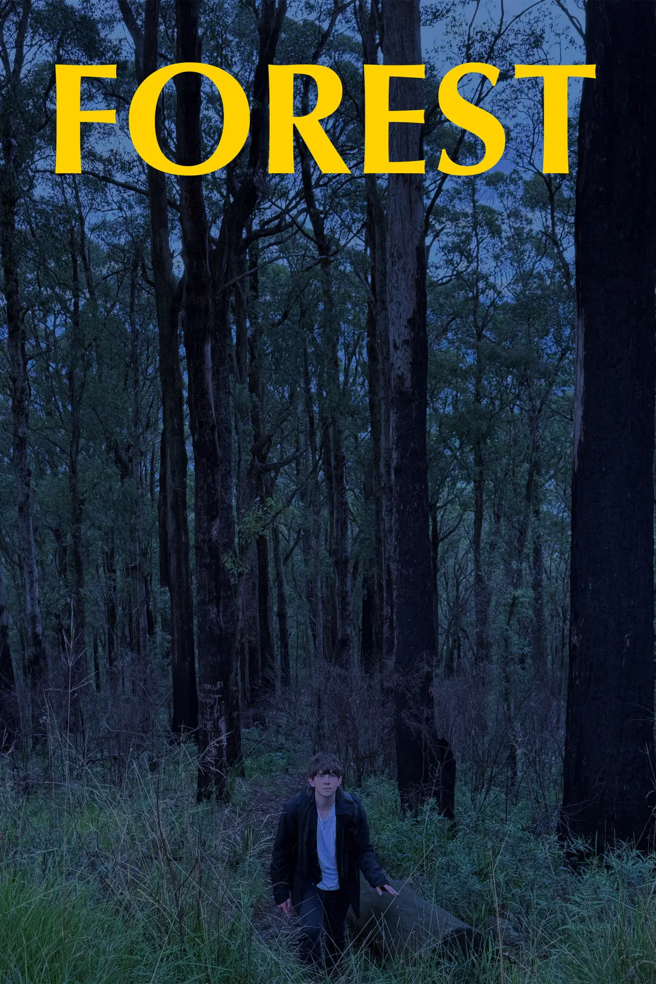 Plakat filmowy "FOREST"
