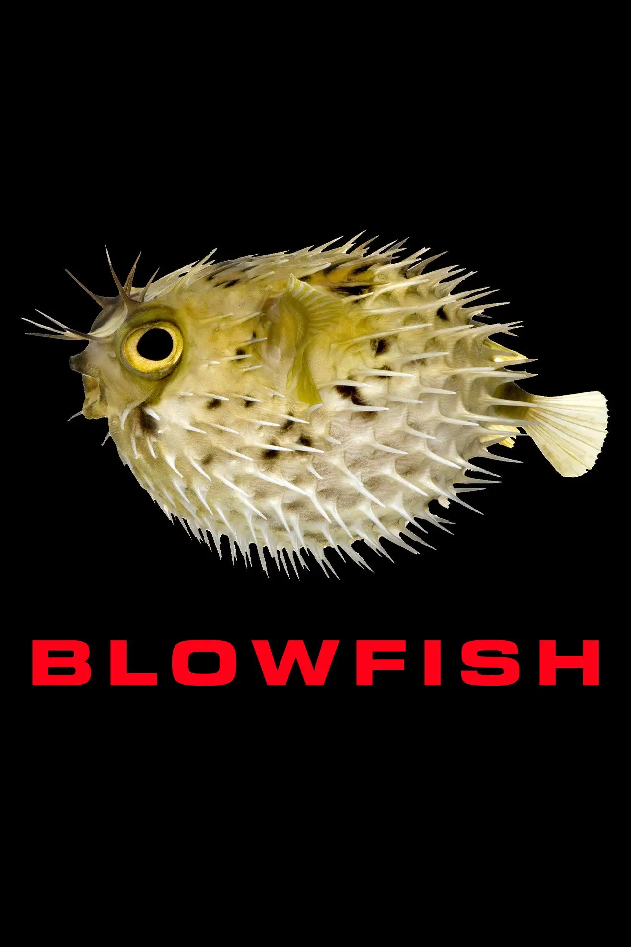 Plakat filmowy "Blowfish"