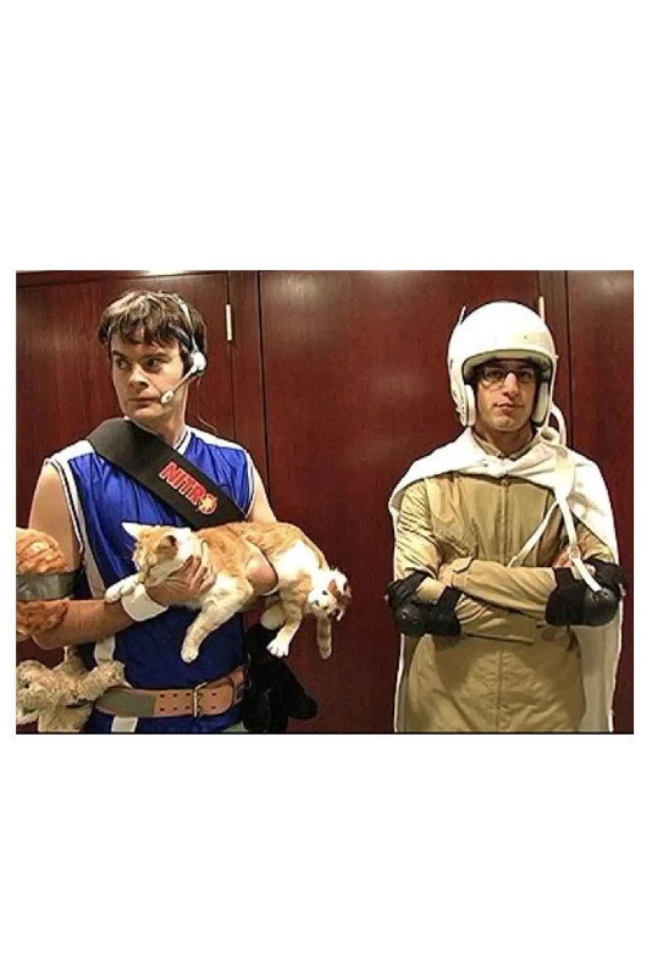 Plakat filmowy "Laser Cats!"