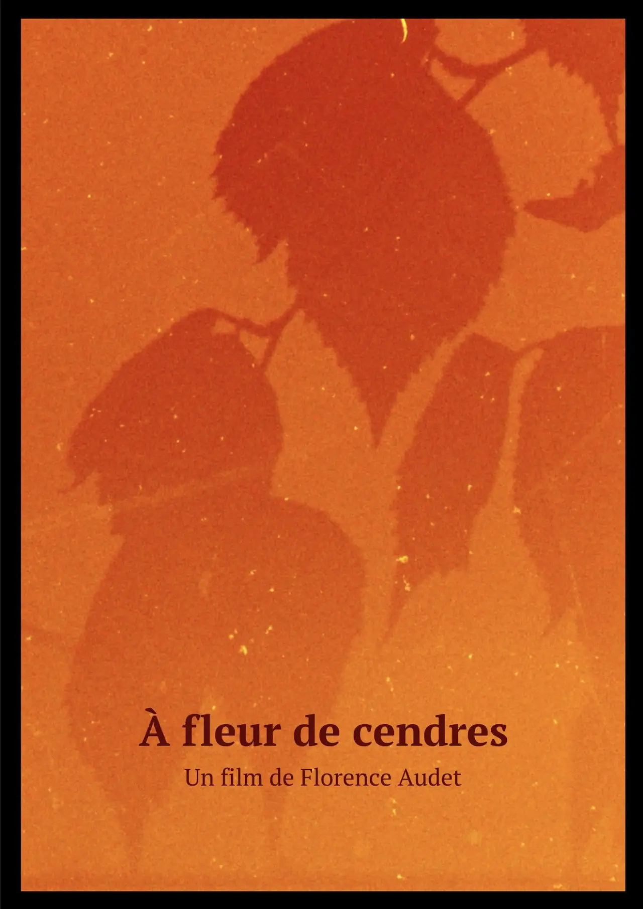 Plakat filmowy "À fleur de cendres"