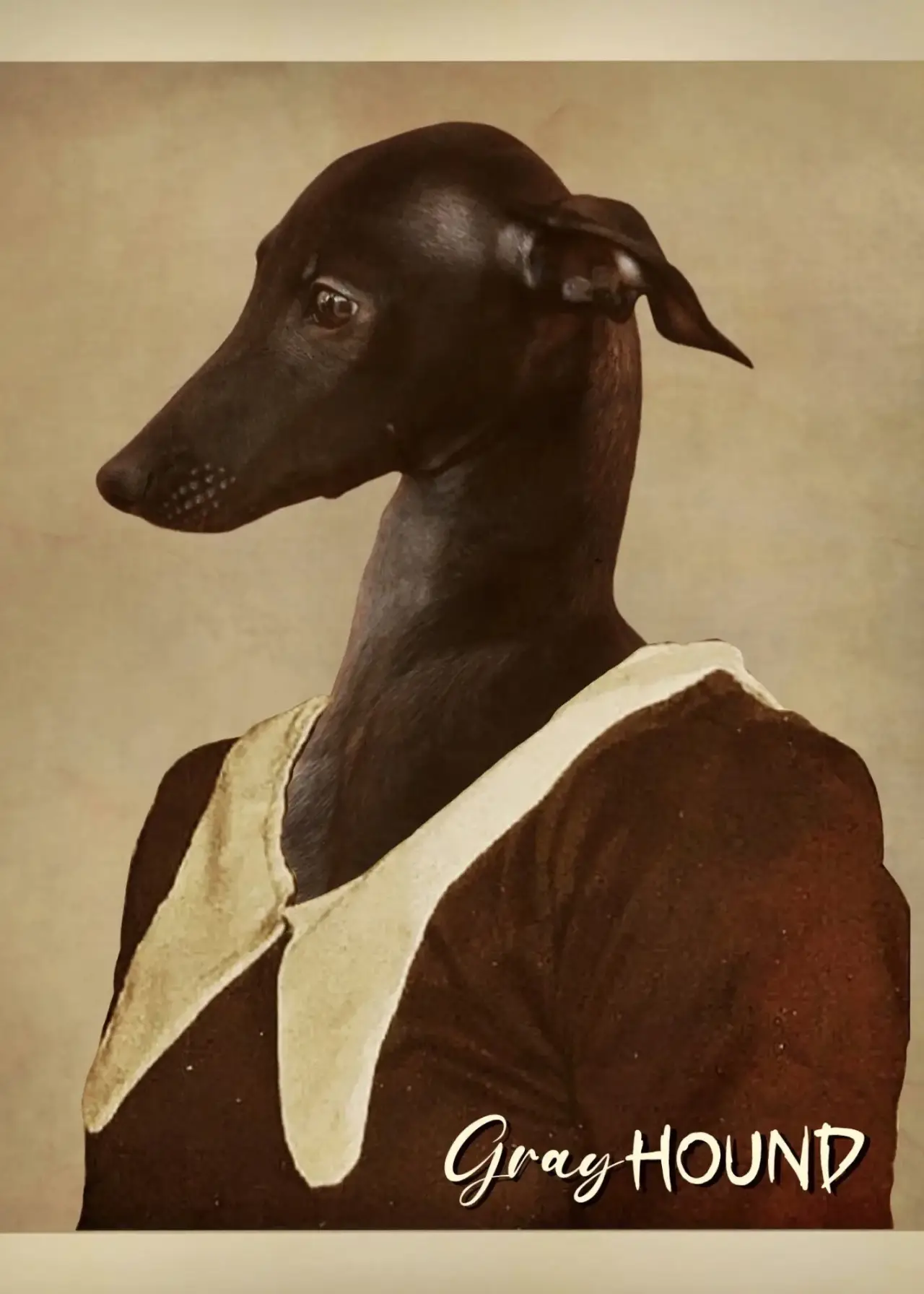Plakat filmowy "Gray Hound"