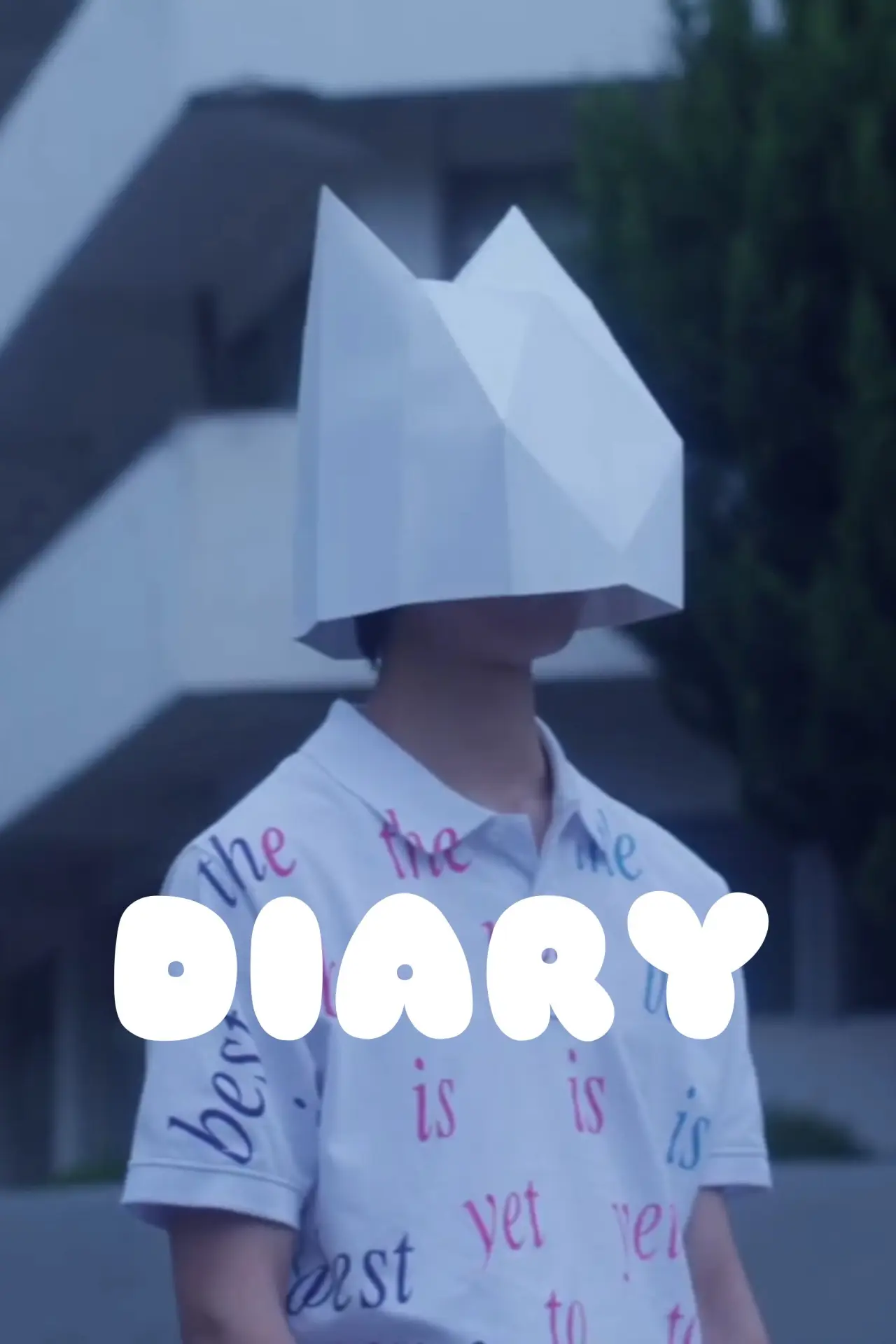Plakat filmowy "DIARY"