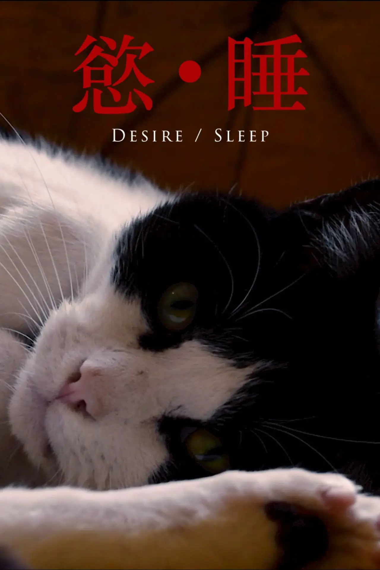 Plakat filmowy "Desire/Sleep"
