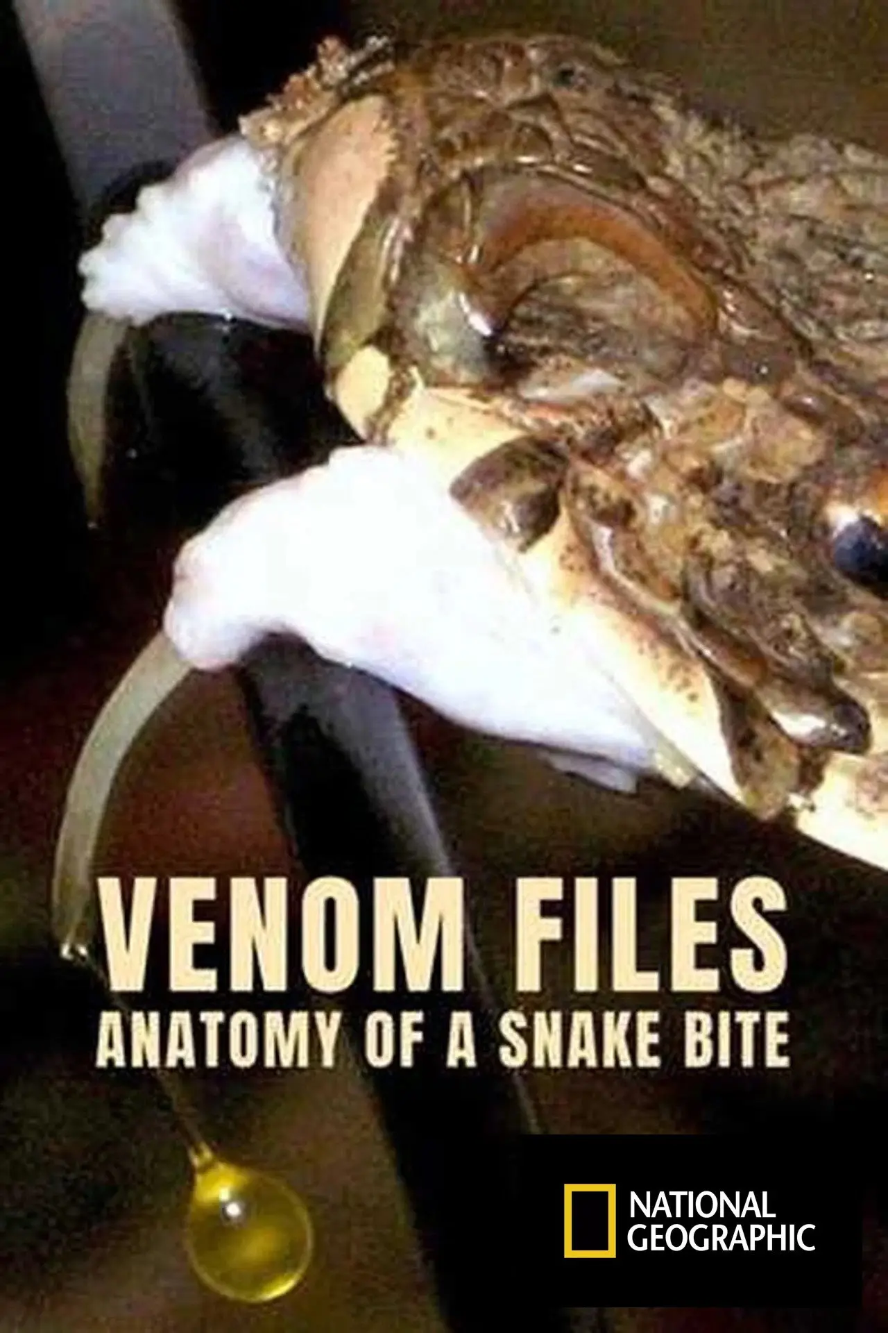 Plakat filmowy "Venom File - Anatomy of a snake bite"
