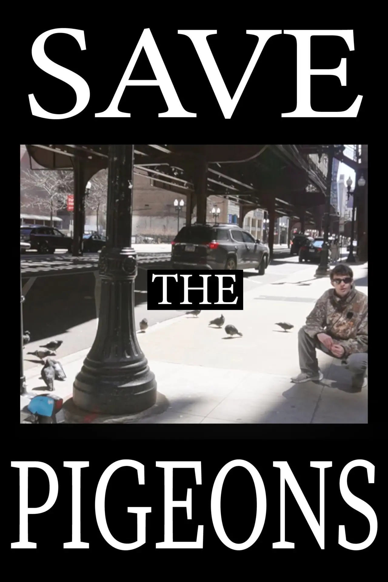 Plakat filmowy "Save the Pigeons"
