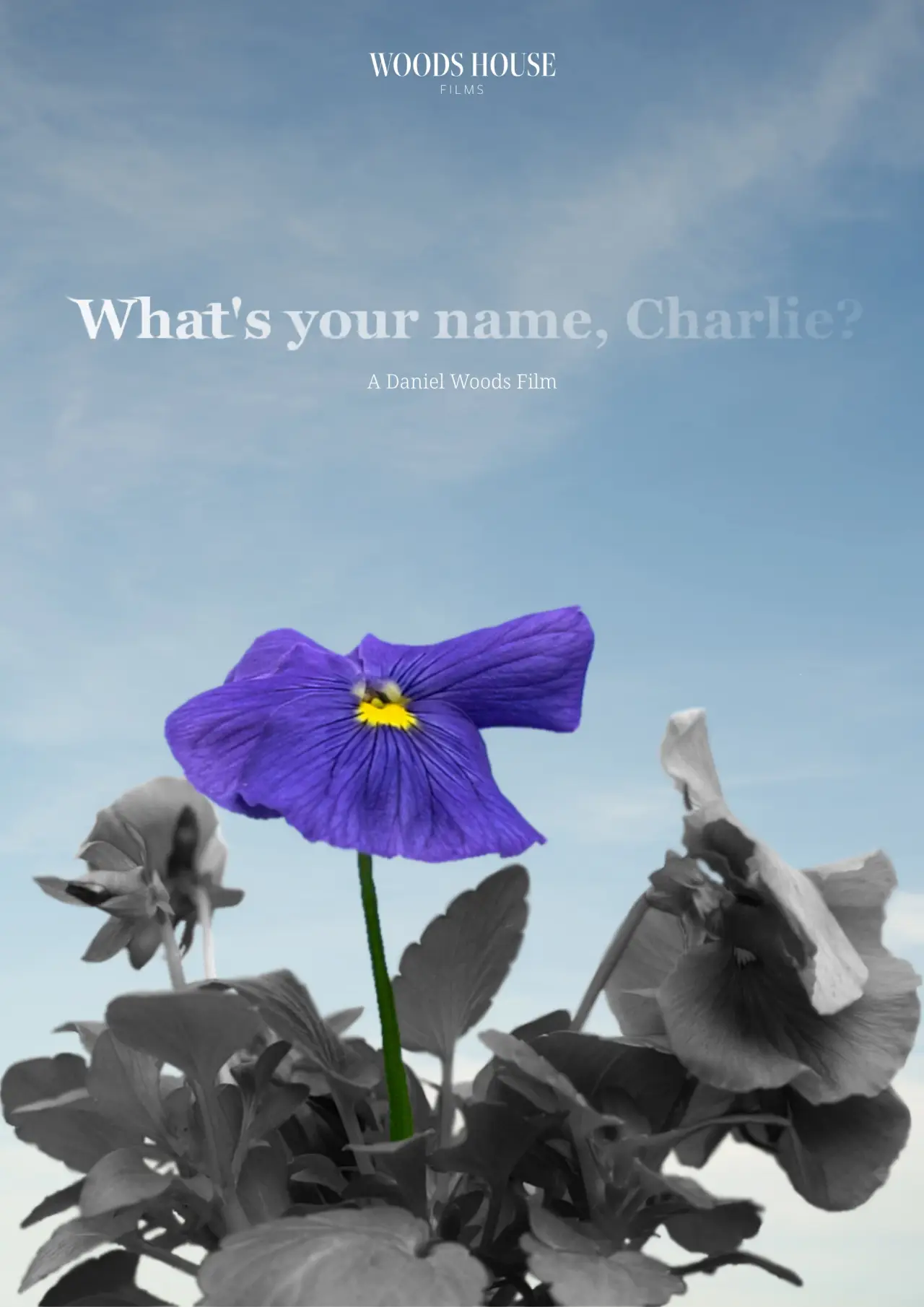 Plakat filmowy "What