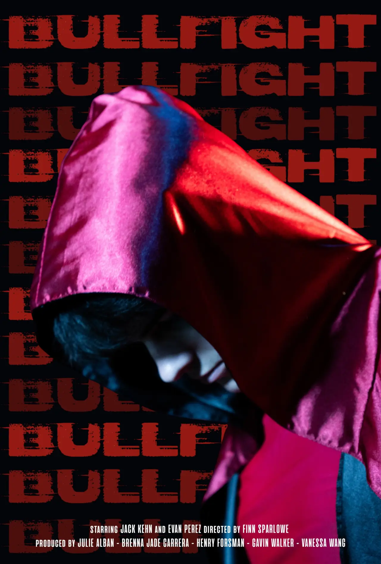 Plakat filmowy "Bullfight"