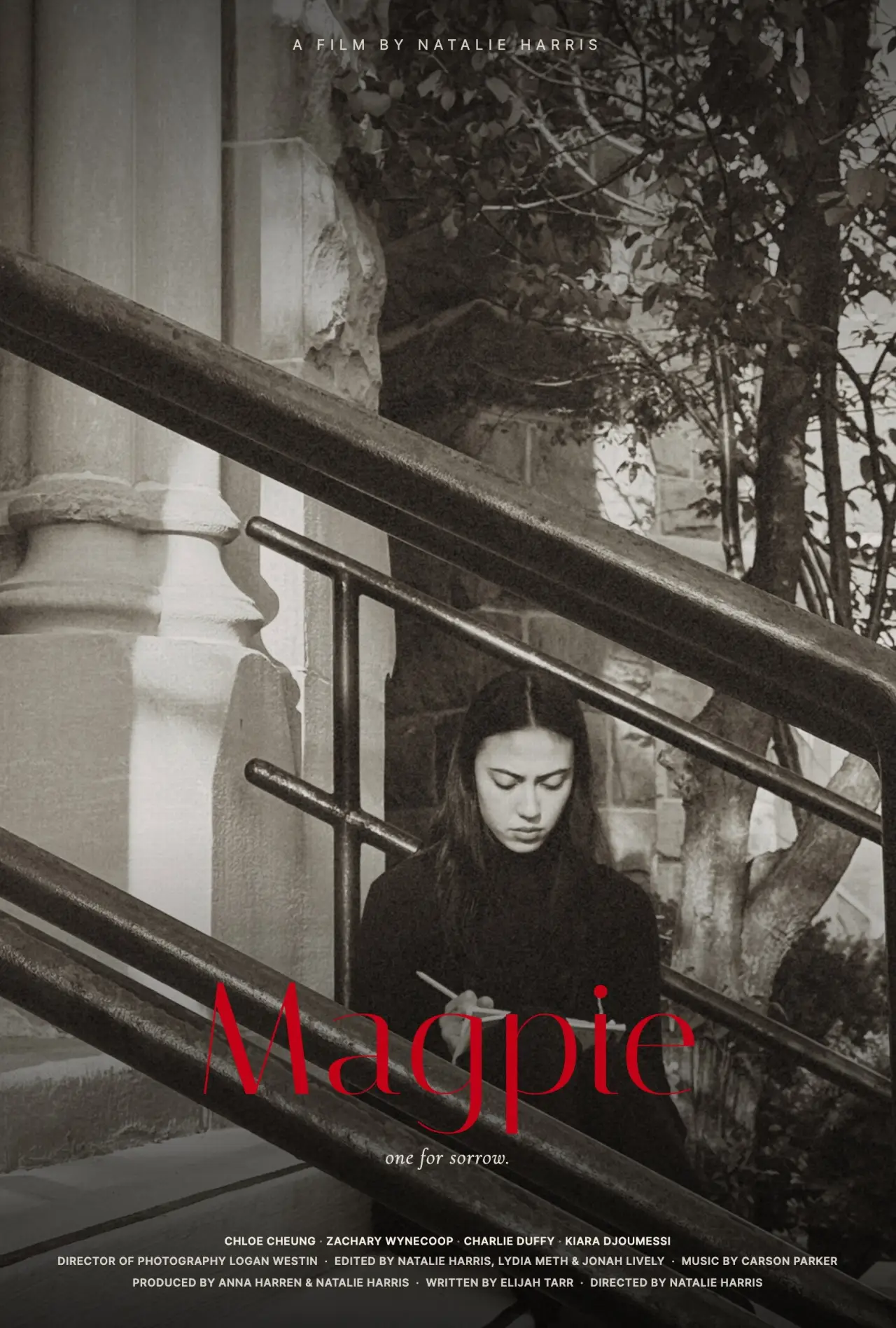 Plakat filmowy "Magpie"