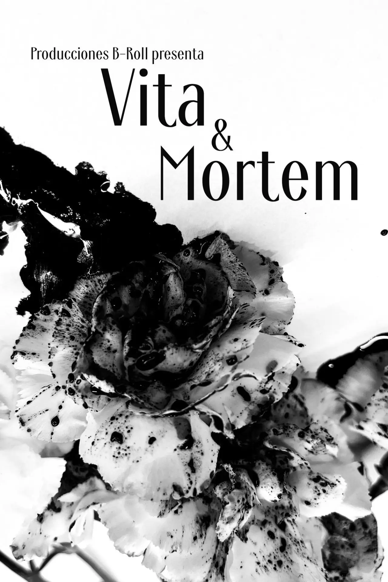 Plakat filmowy "Vita & Mortem"
