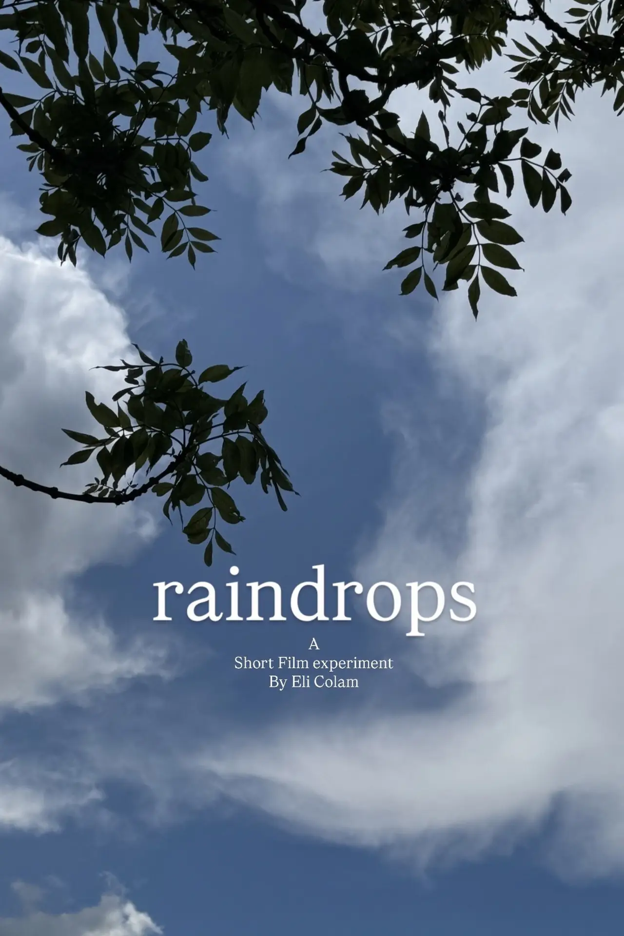 Plakat filmowy "raindrops"