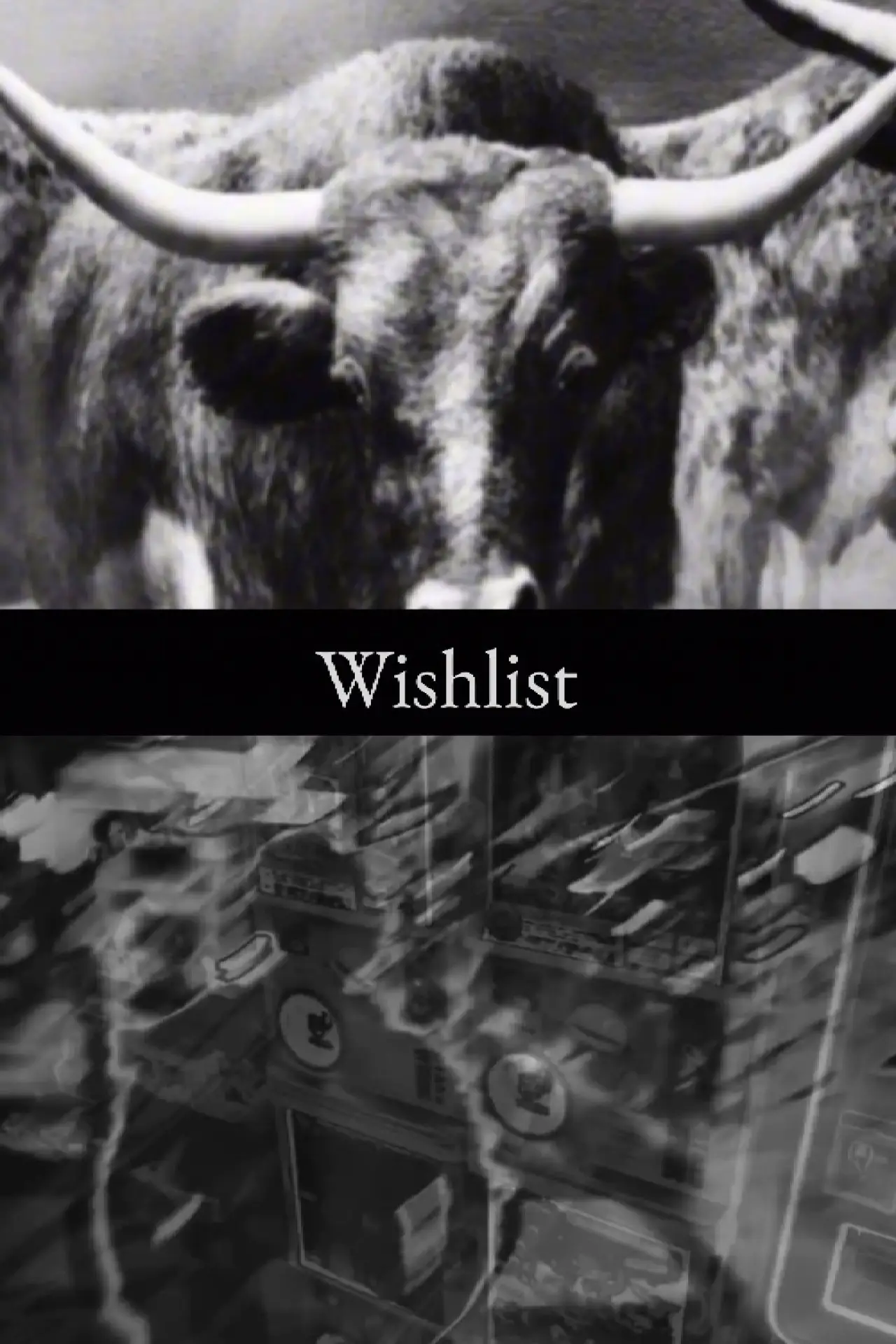 Plakat filmowy "Wishlist"