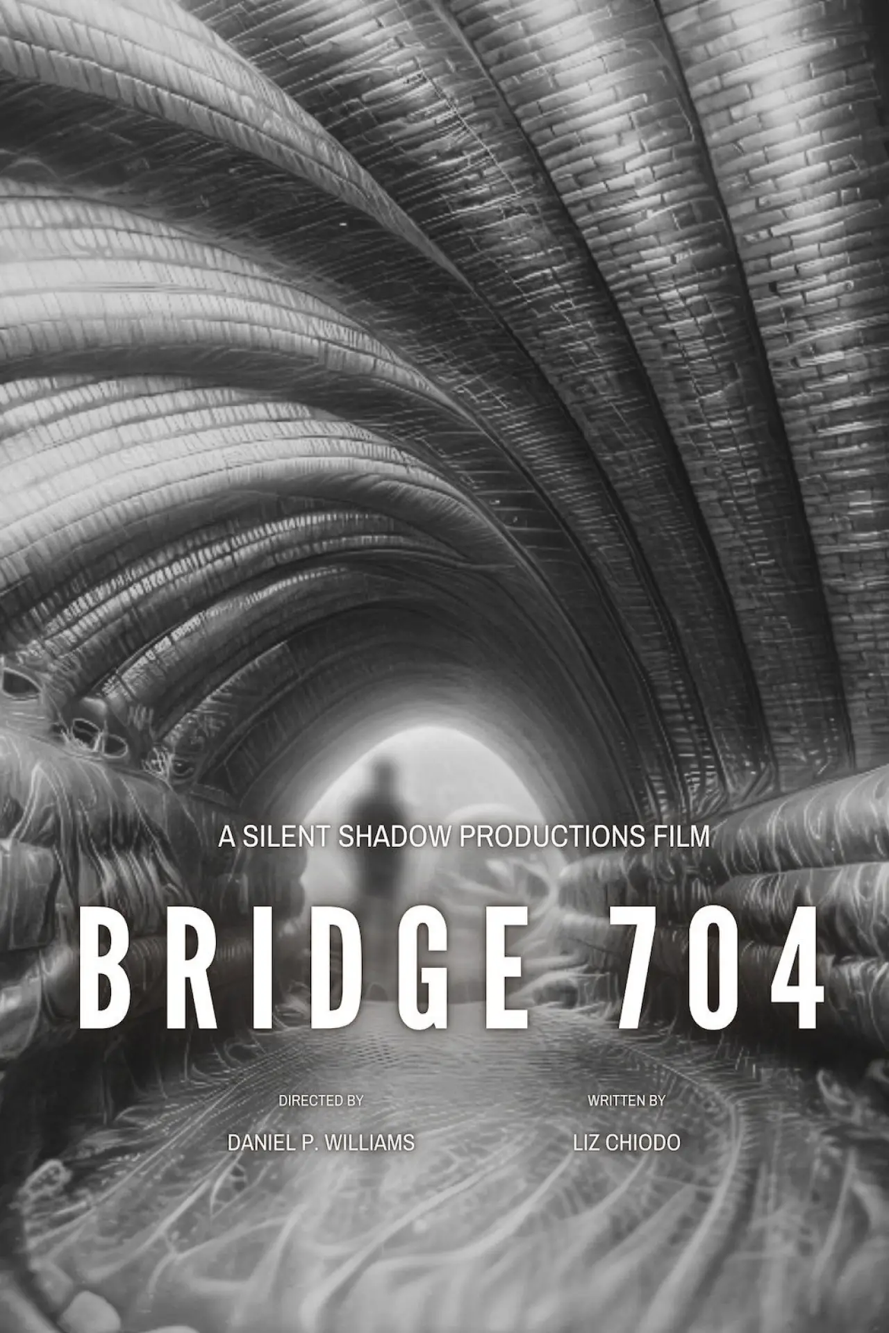 Plakat filmowy "Bridge 704"