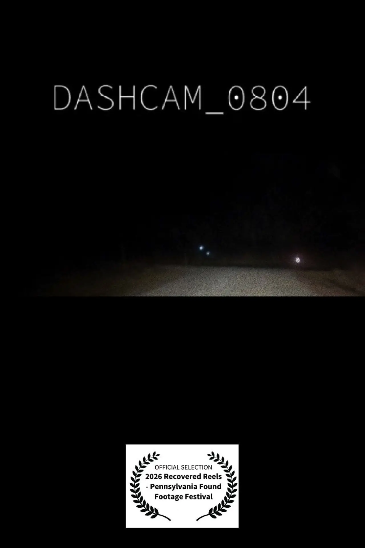 Plakat filmowy "dashcam_0804.mp4"