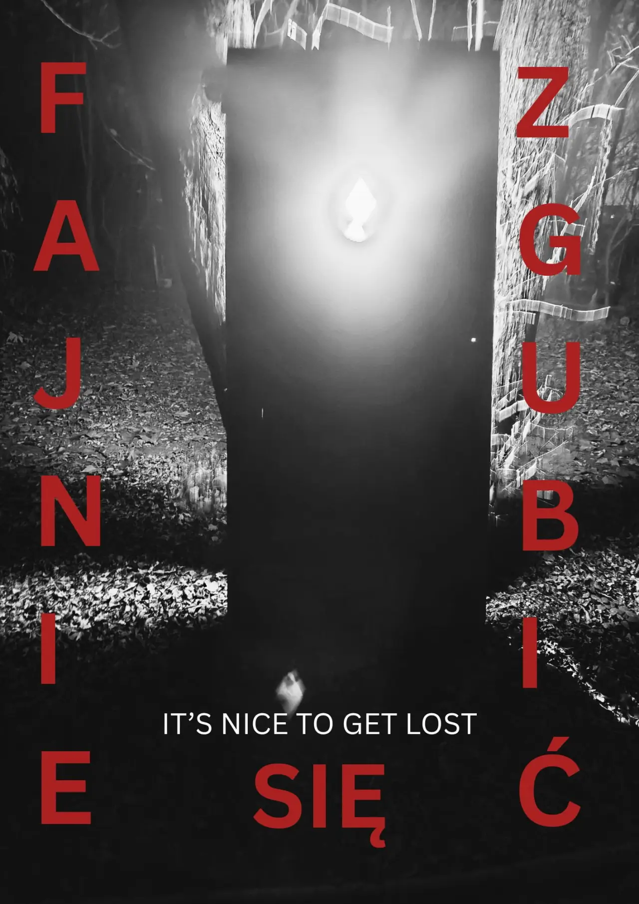 Plakat filmowy "Fajnie się zgubić (It