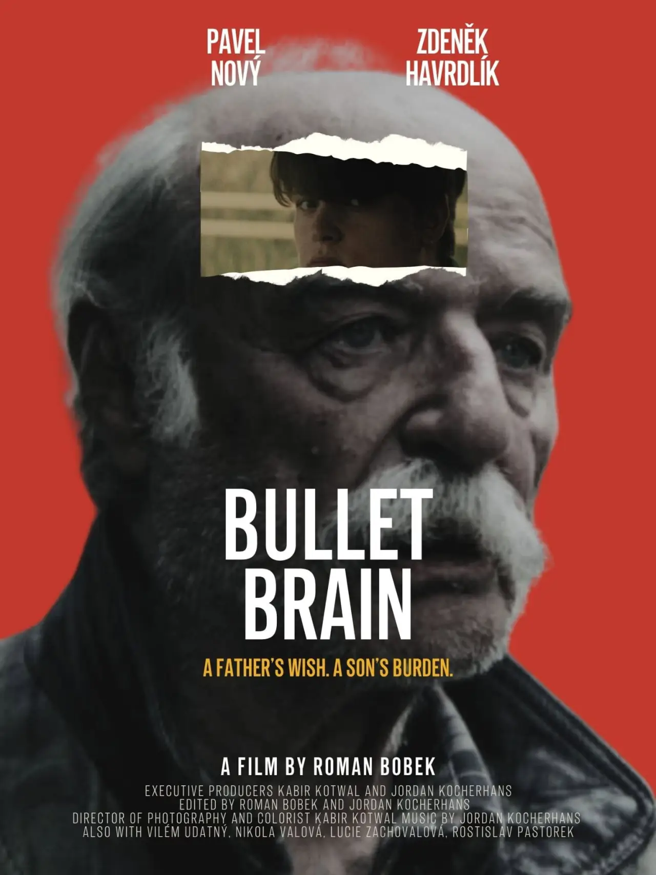 Plakat filmowy "Bullet Brain"