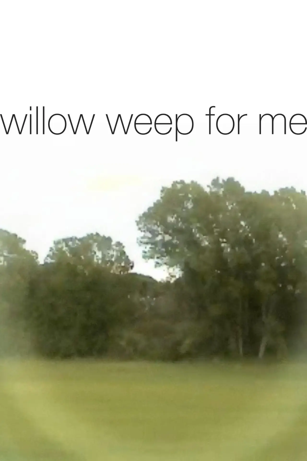 Plakat filmowy "willow weep for me"