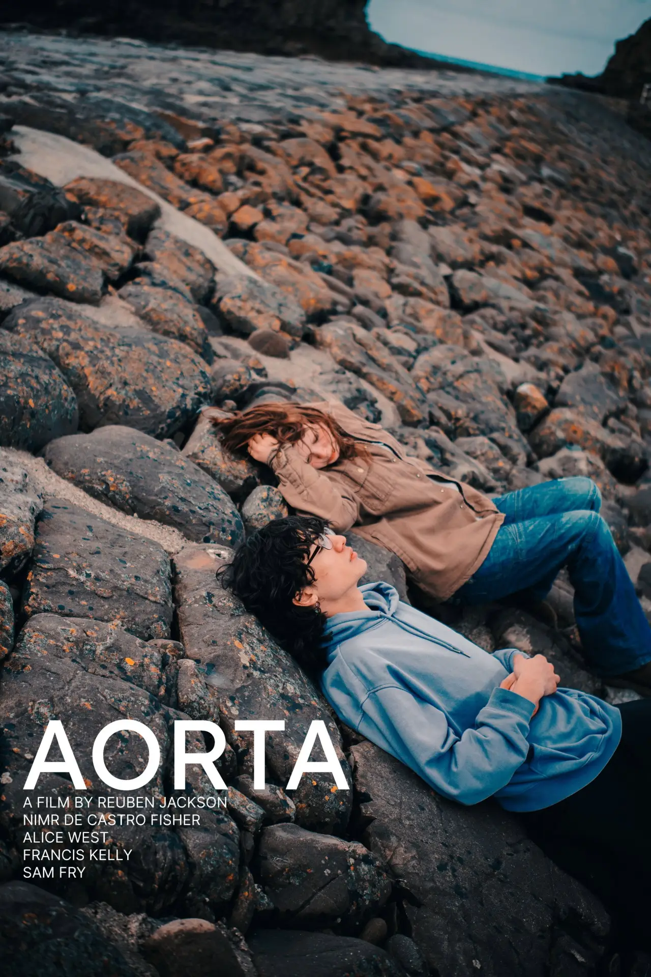 Plakat filmowy "AORTA"