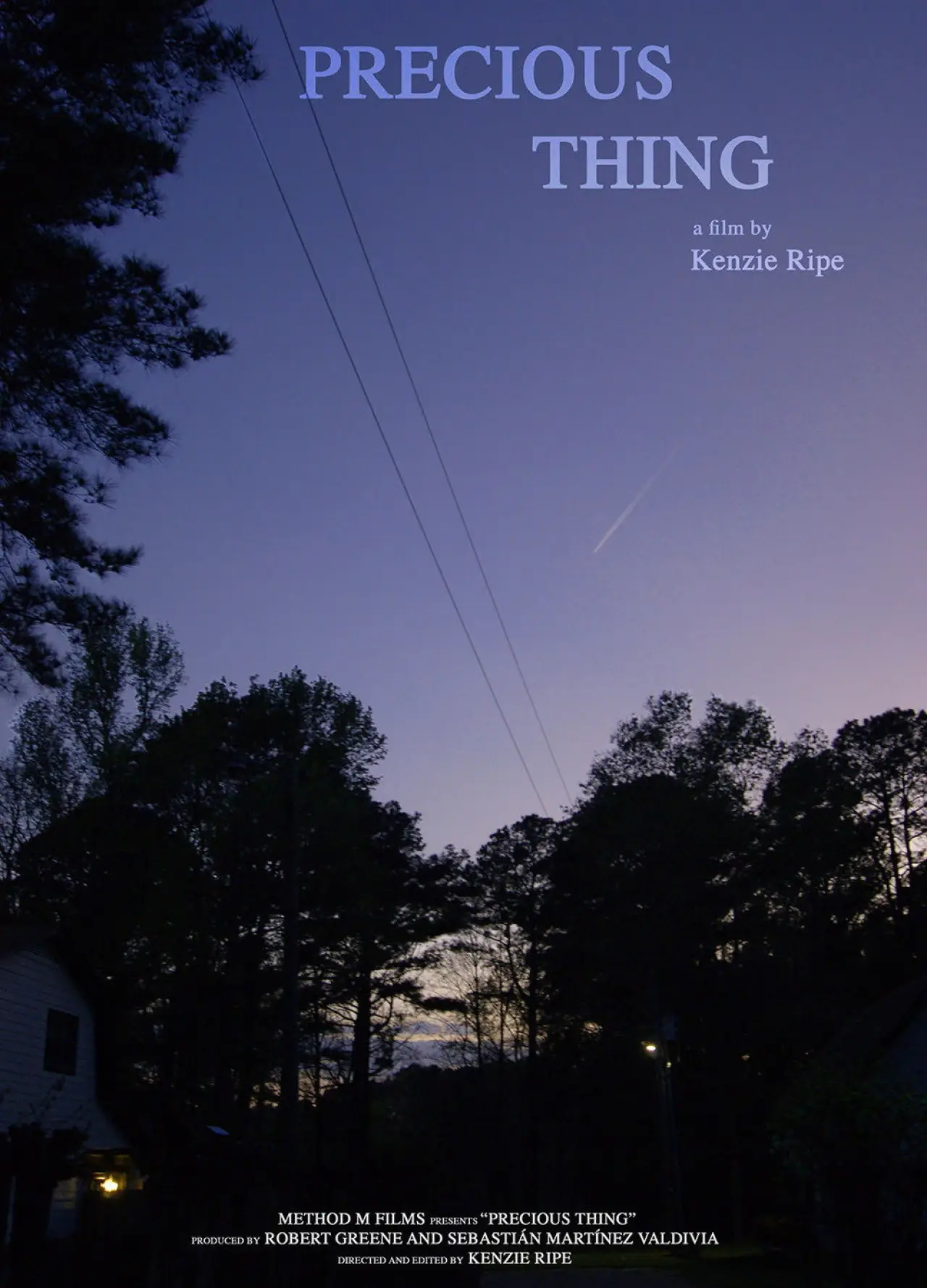 Plakat filmowy "Precious Thing"