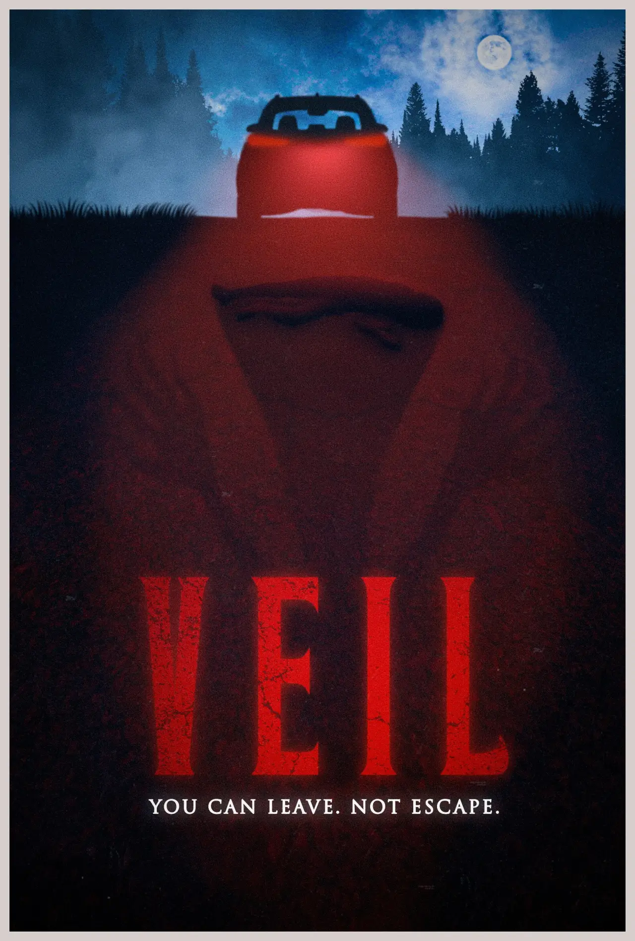Plakat filmowy "VEIL"