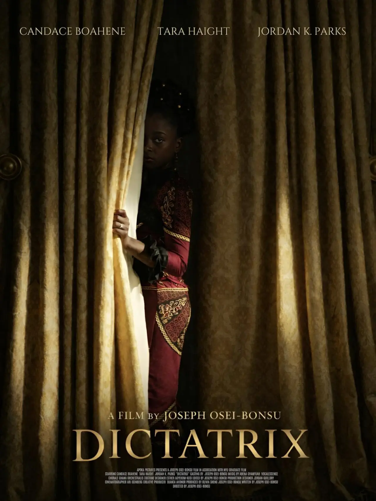 Plakat filmowy "Dictatrix"