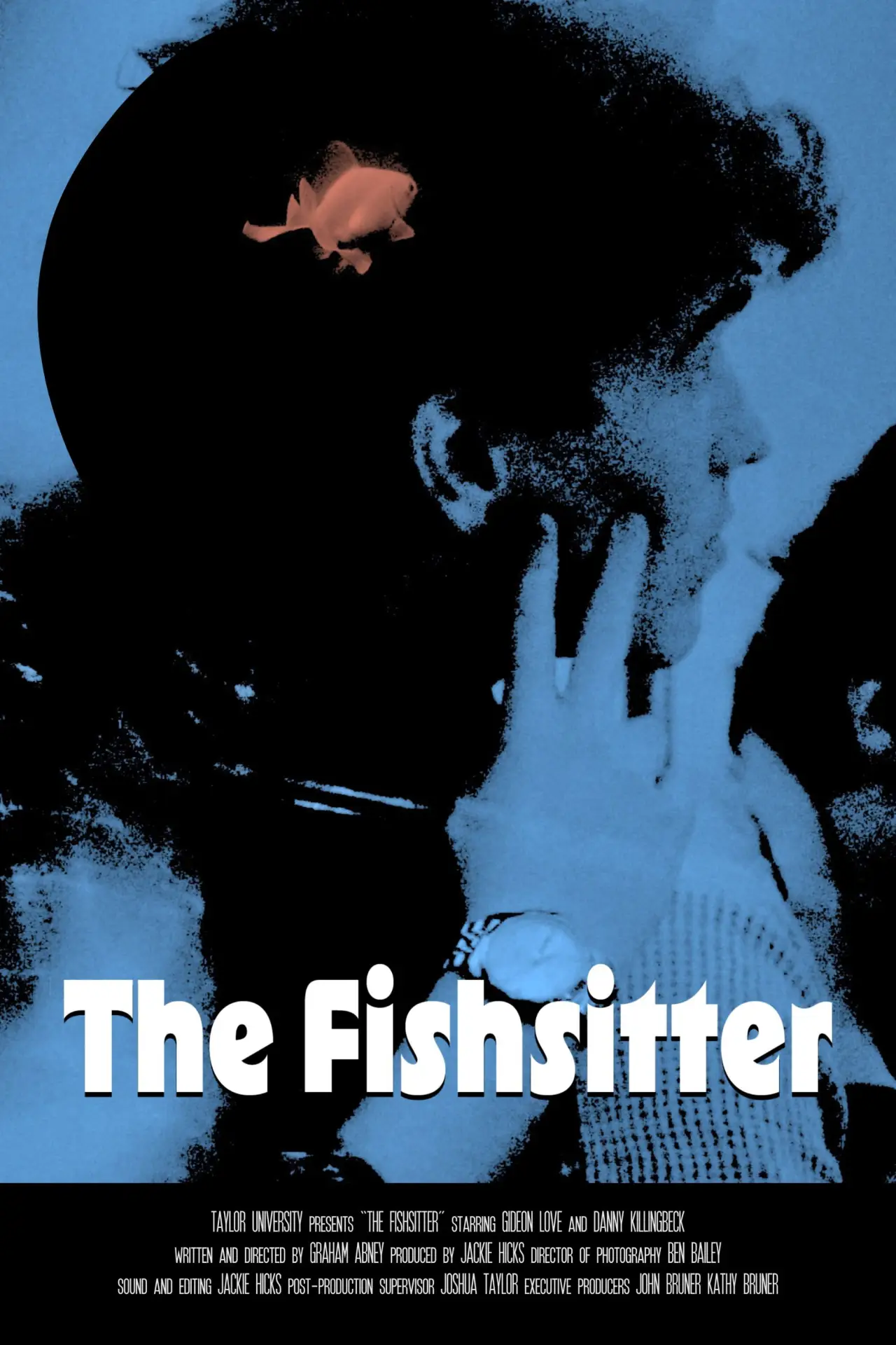 Plakat filmowy "The Fishsitter"