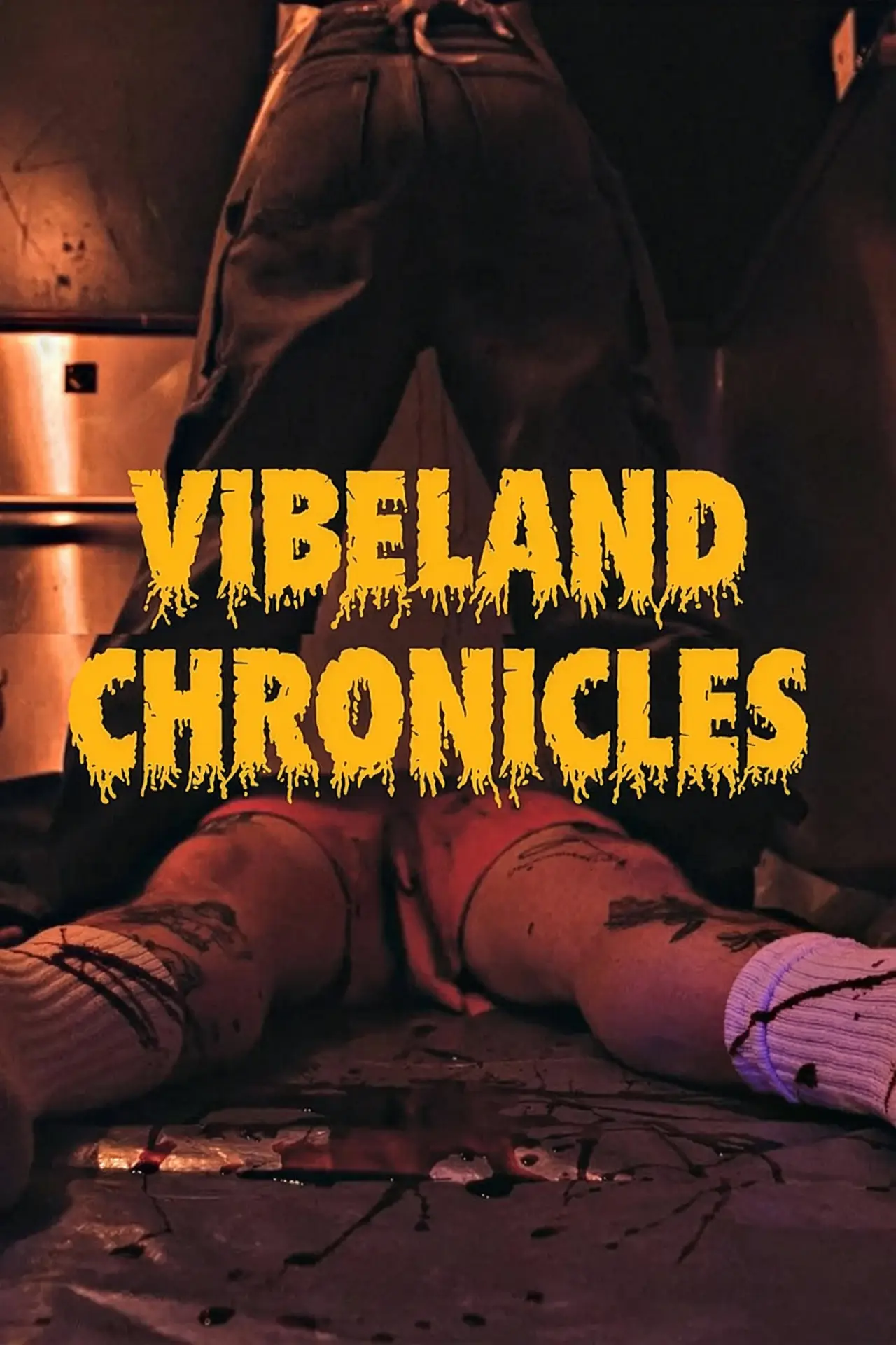Plakat filmowy "Vibeland Chronicles"