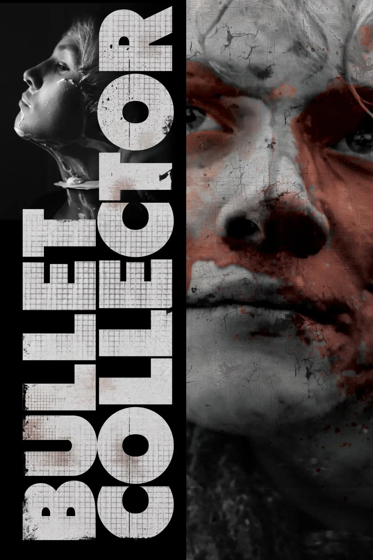 Plakat filmowy "Собиратель пуль"