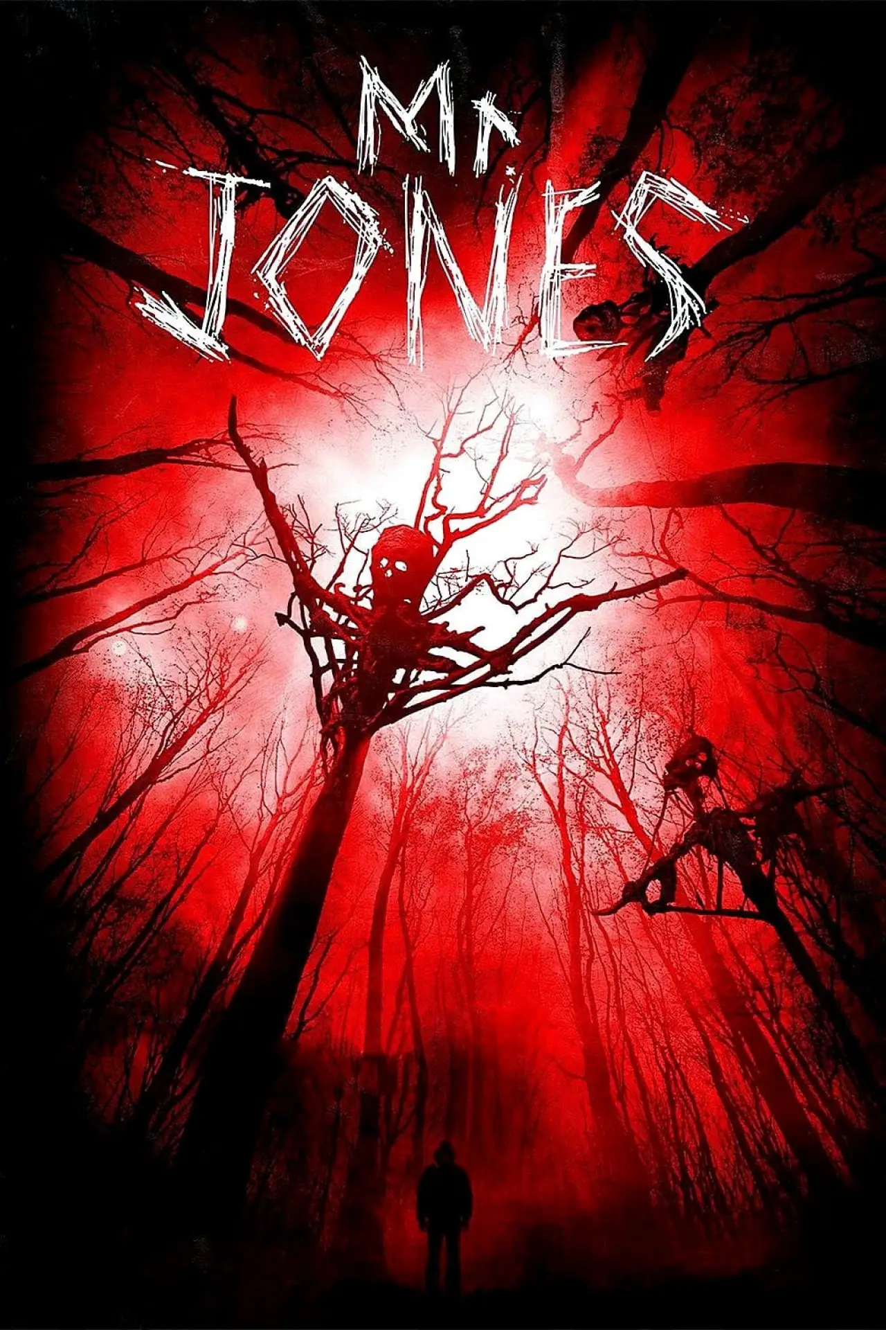 Plakat filmowy "Mr. Jones"