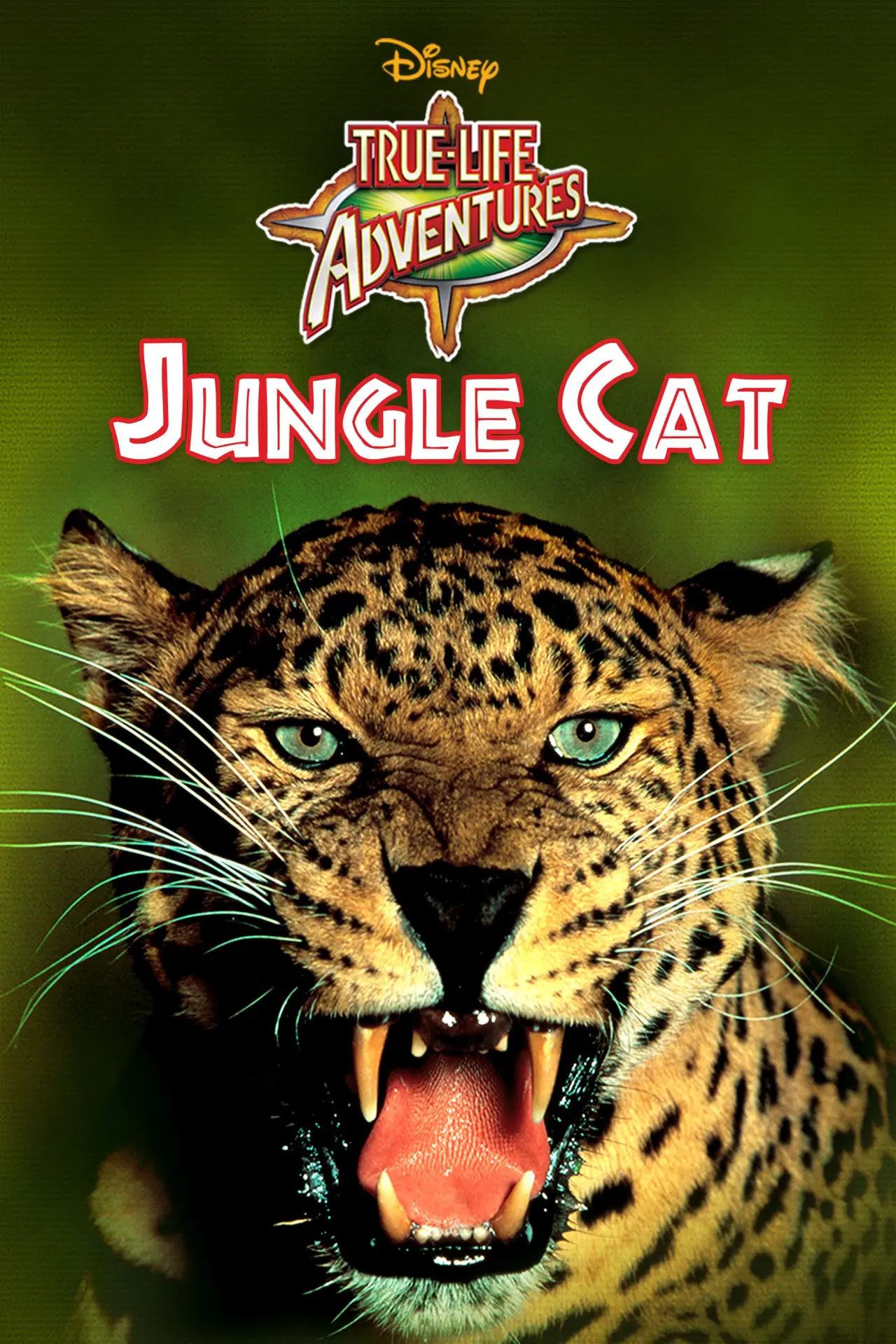 Plakat filmowy "Jungle Cat"