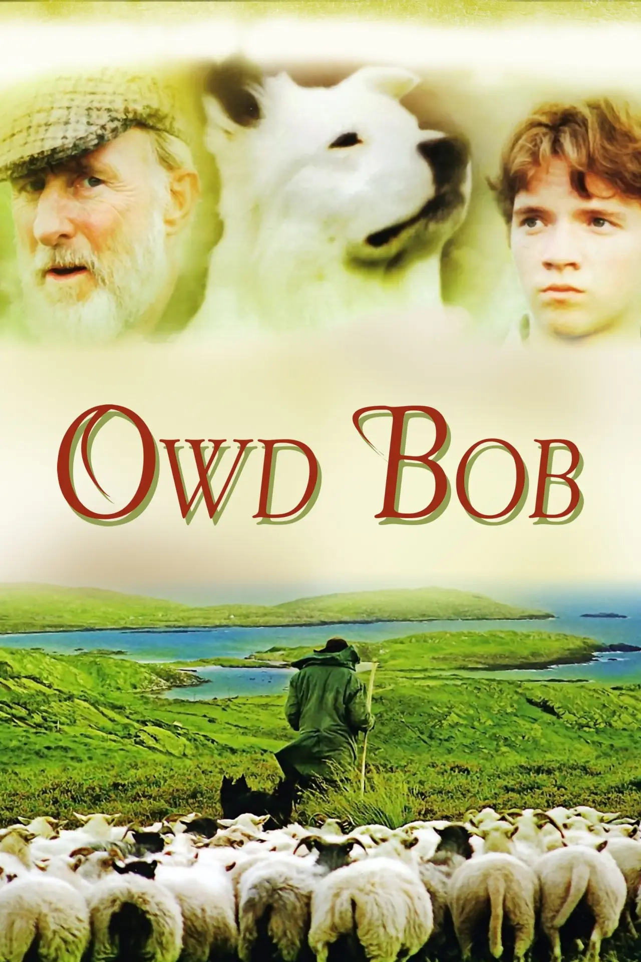 Plakat filmowy "Owd Bob"