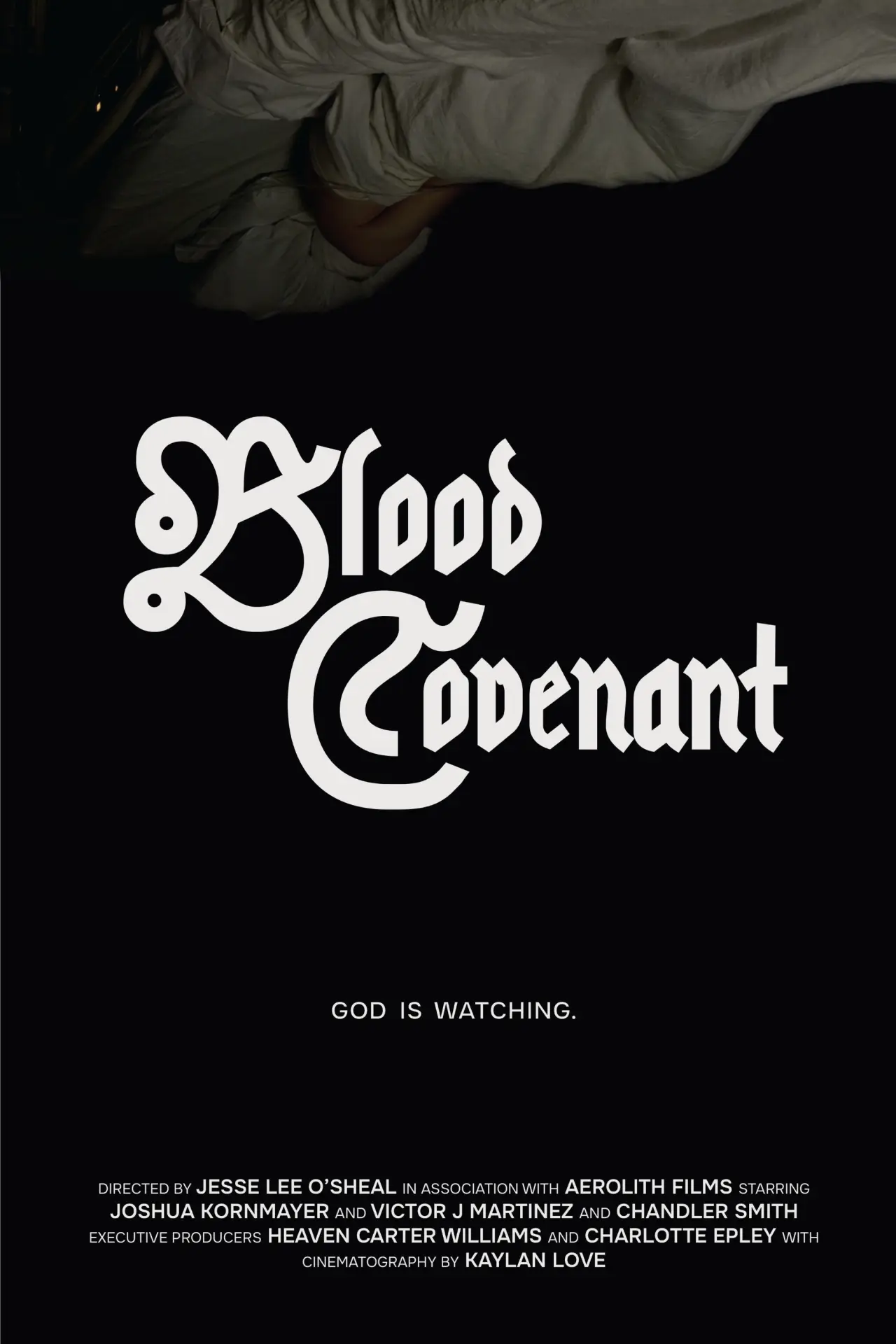 Plakat filmowy "Blood Covenant"
