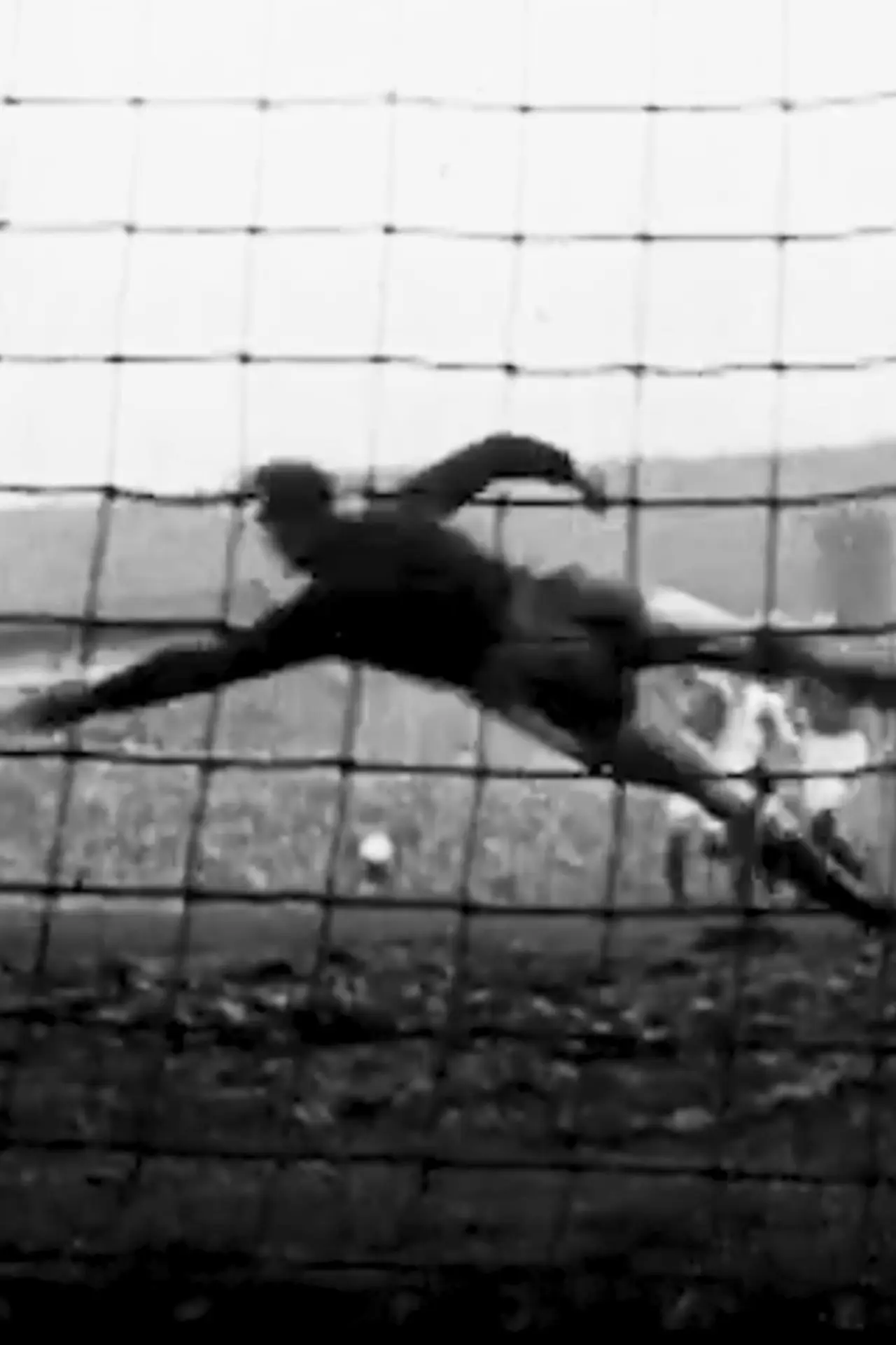 Plakat filmowy "Il mio pallone / la mia vita"