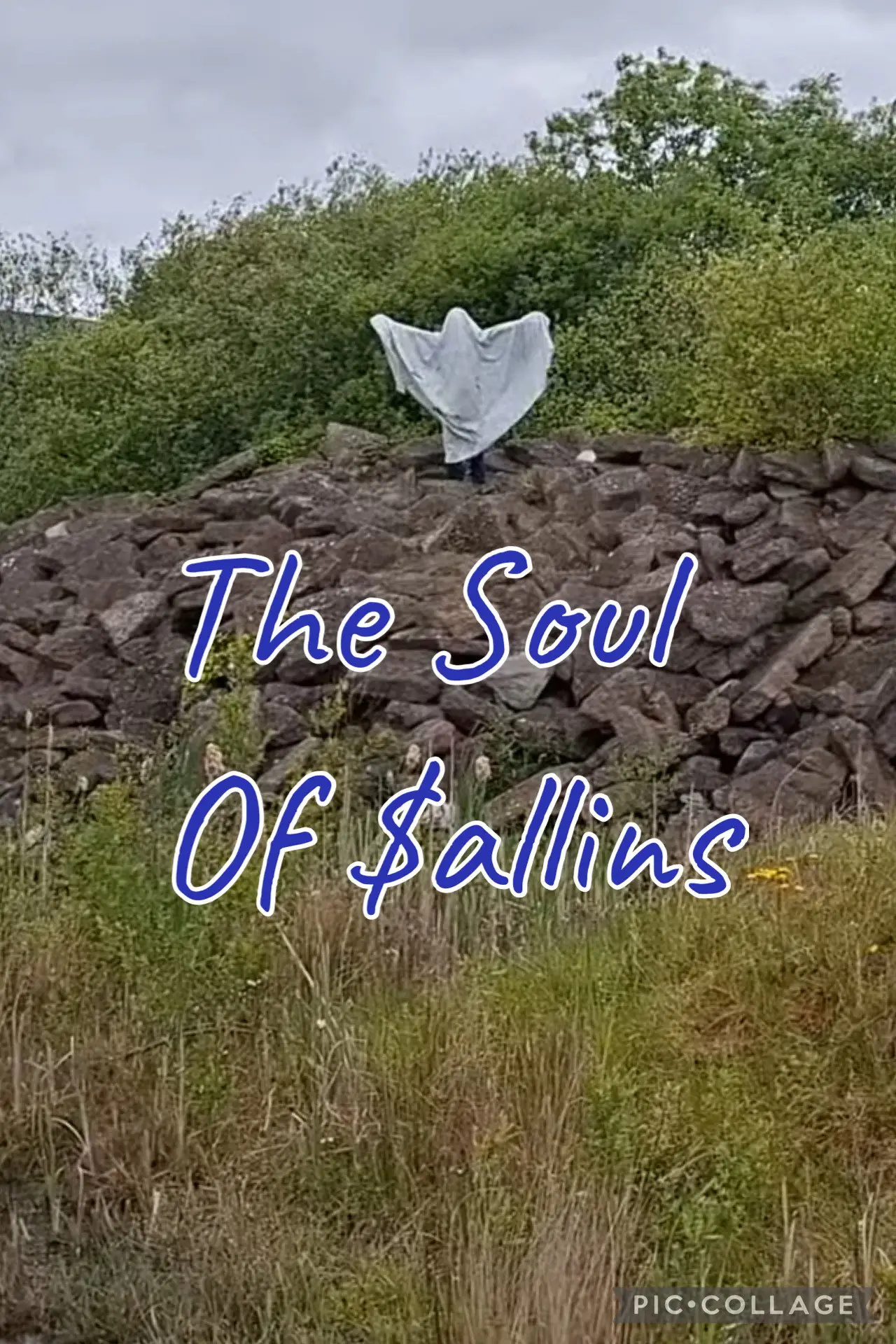 Plakat filmowy "The Soul Of Sallins"