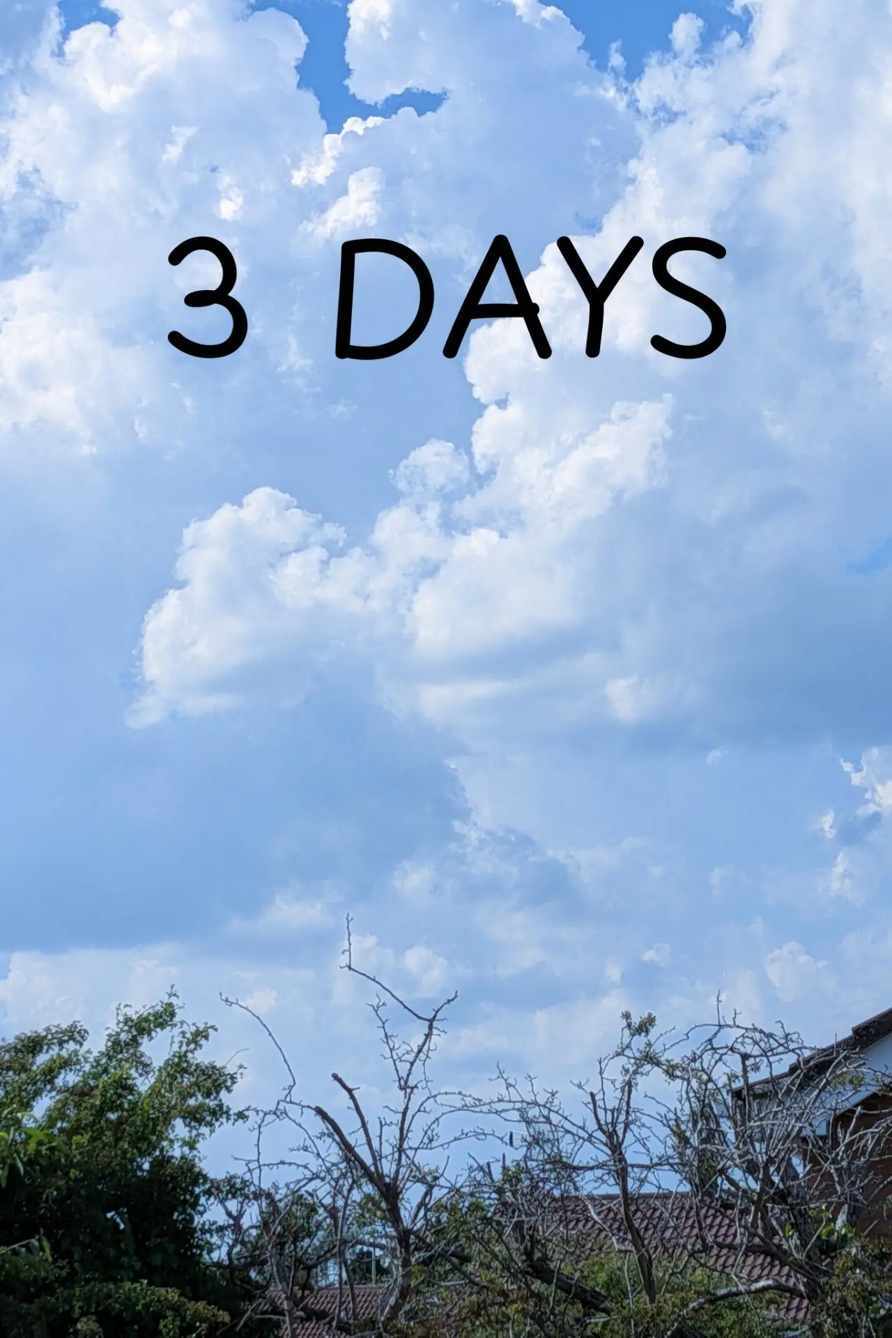 Plakat filmowy "3 DAYS"