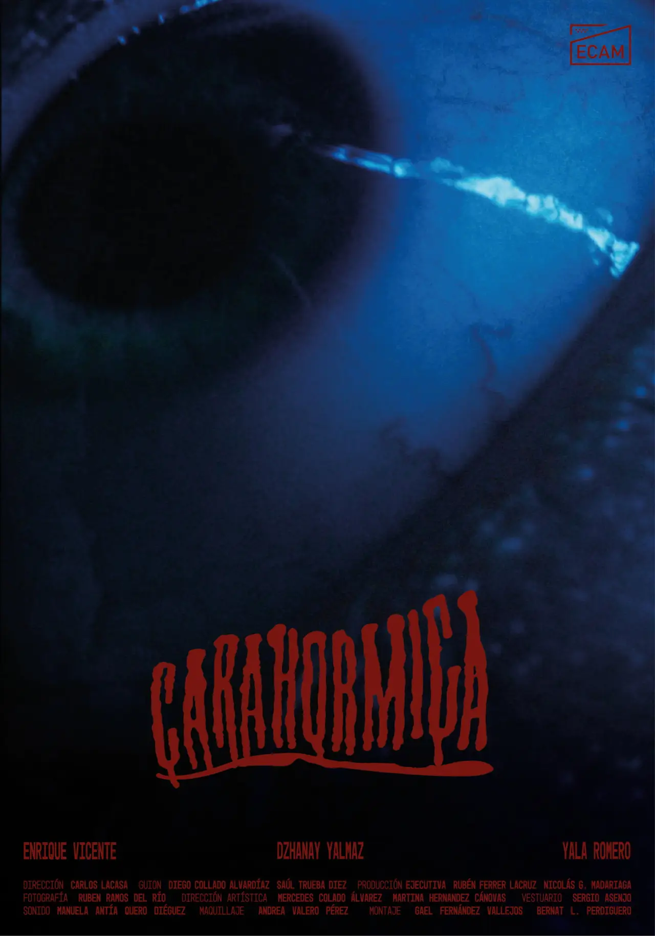 Plakat filmowy "Carahormiga"