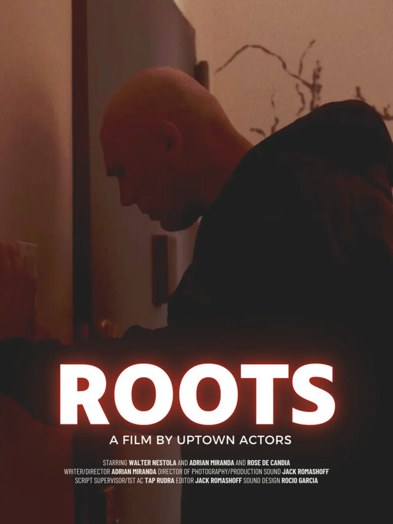 Plakat filmowy "Roots"