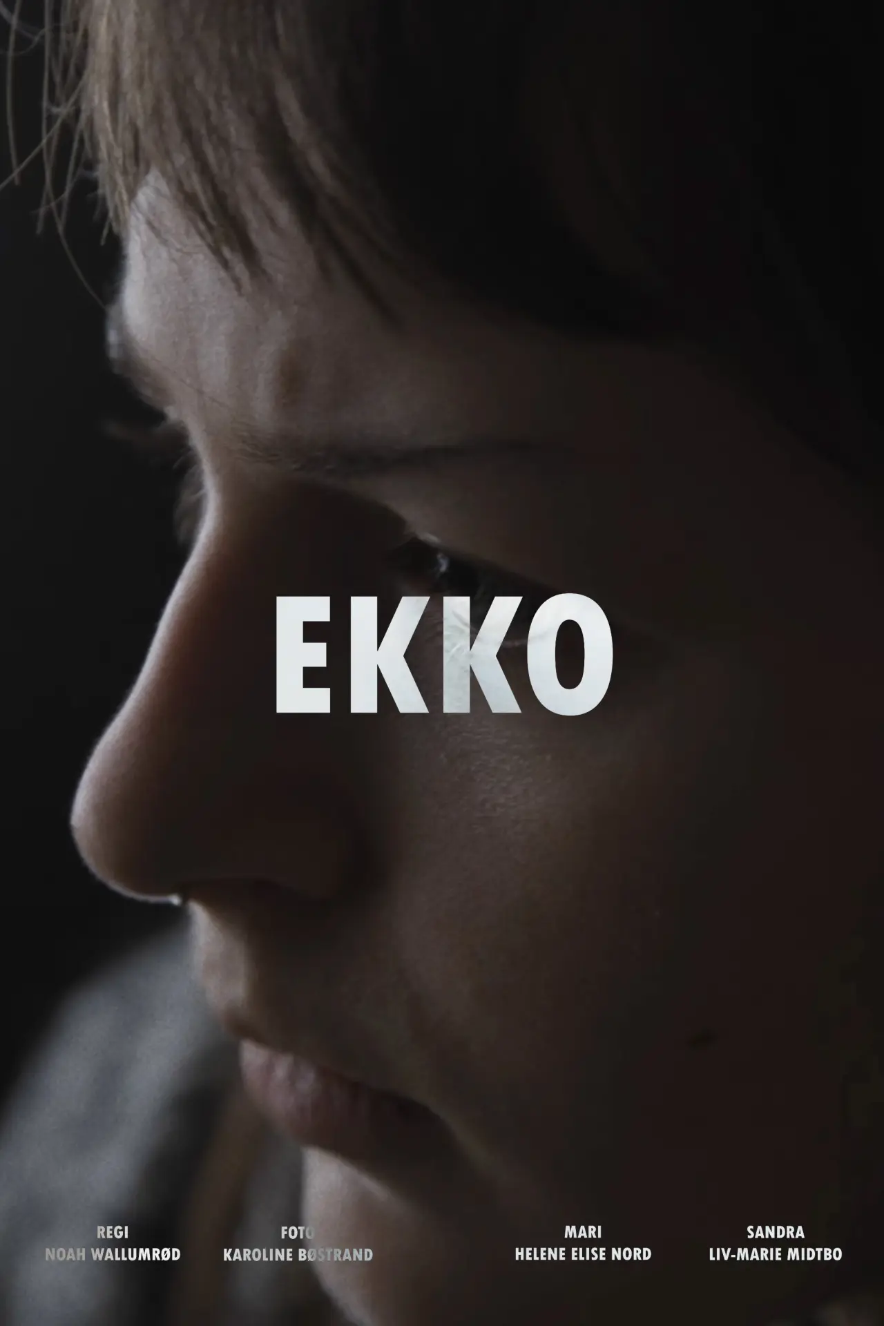 Plakat filmowy "Ekko"