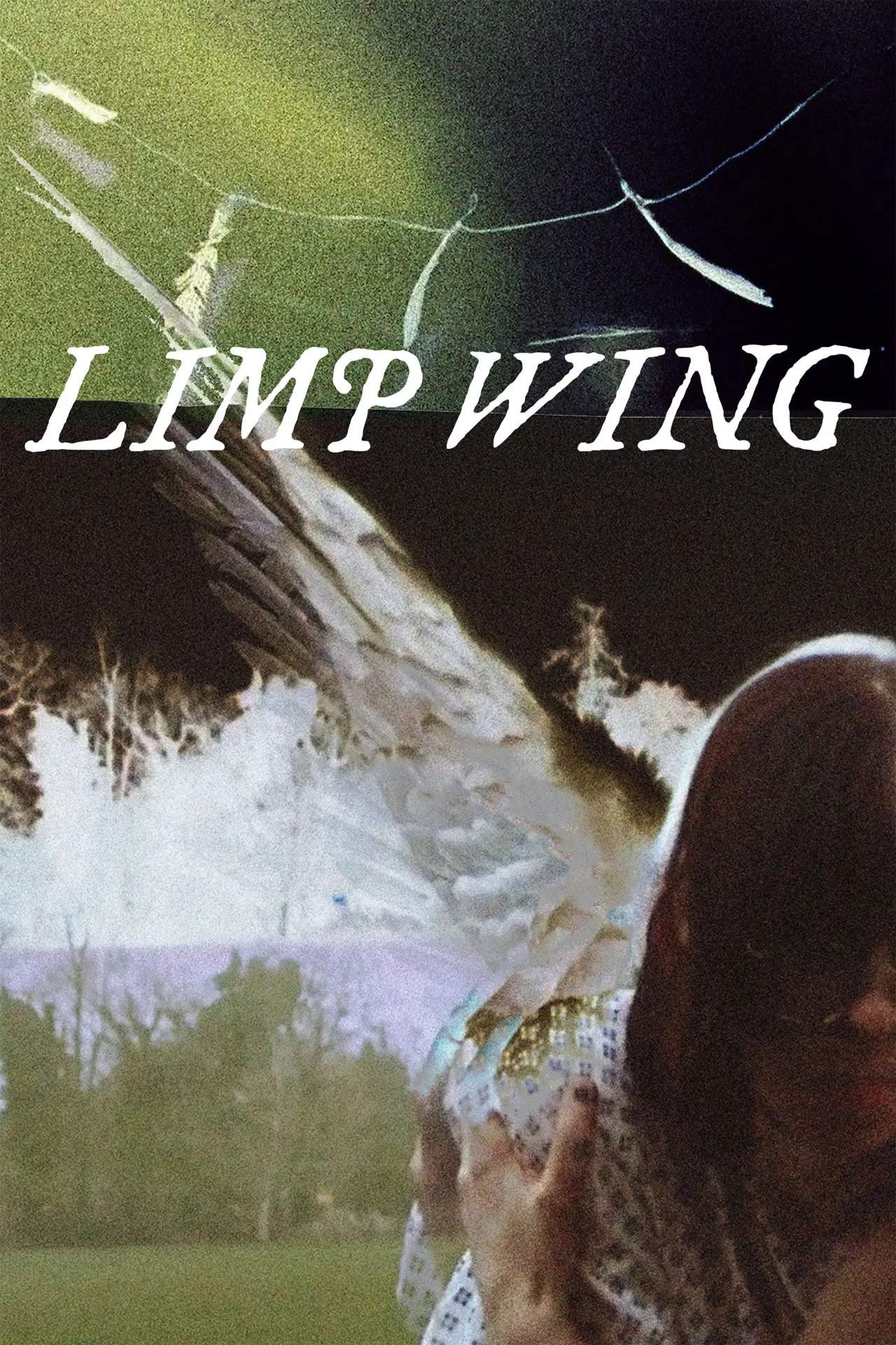 Plakat filmowy "Limp Wing"