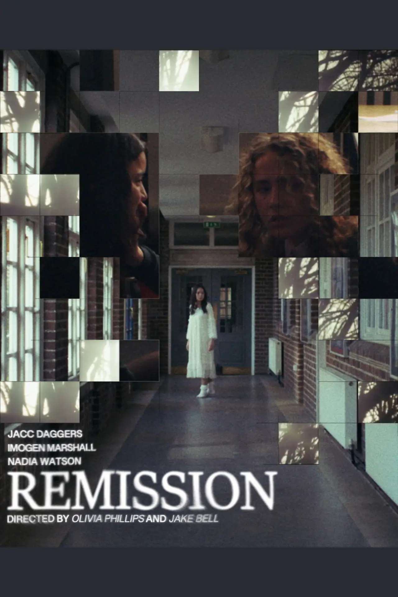 Plakat filmowy "Remission"