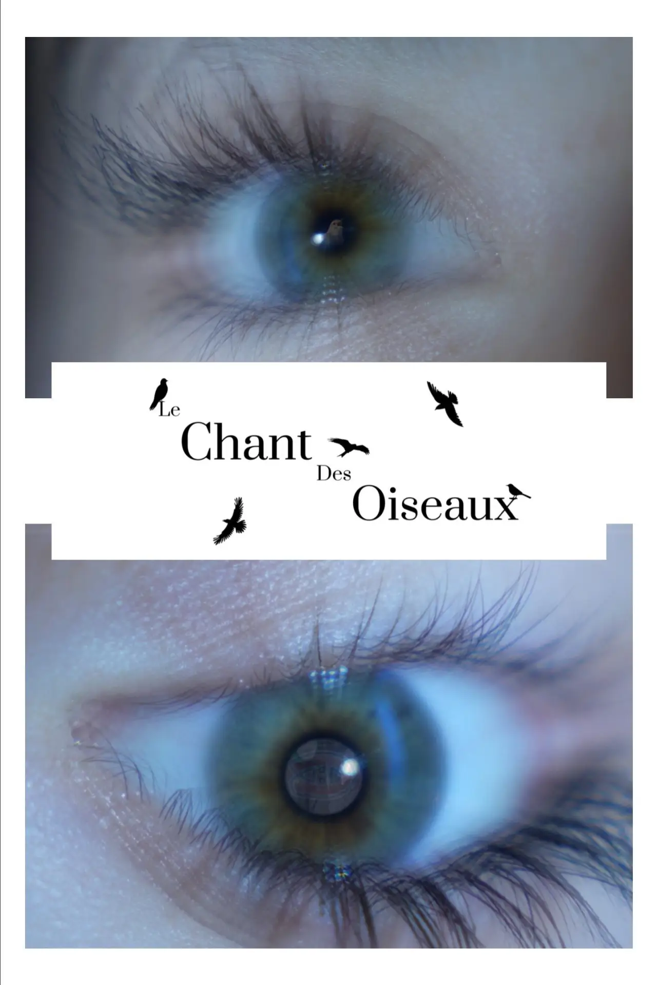 Plakat filmowy "Le Chant Des Oiseaux"