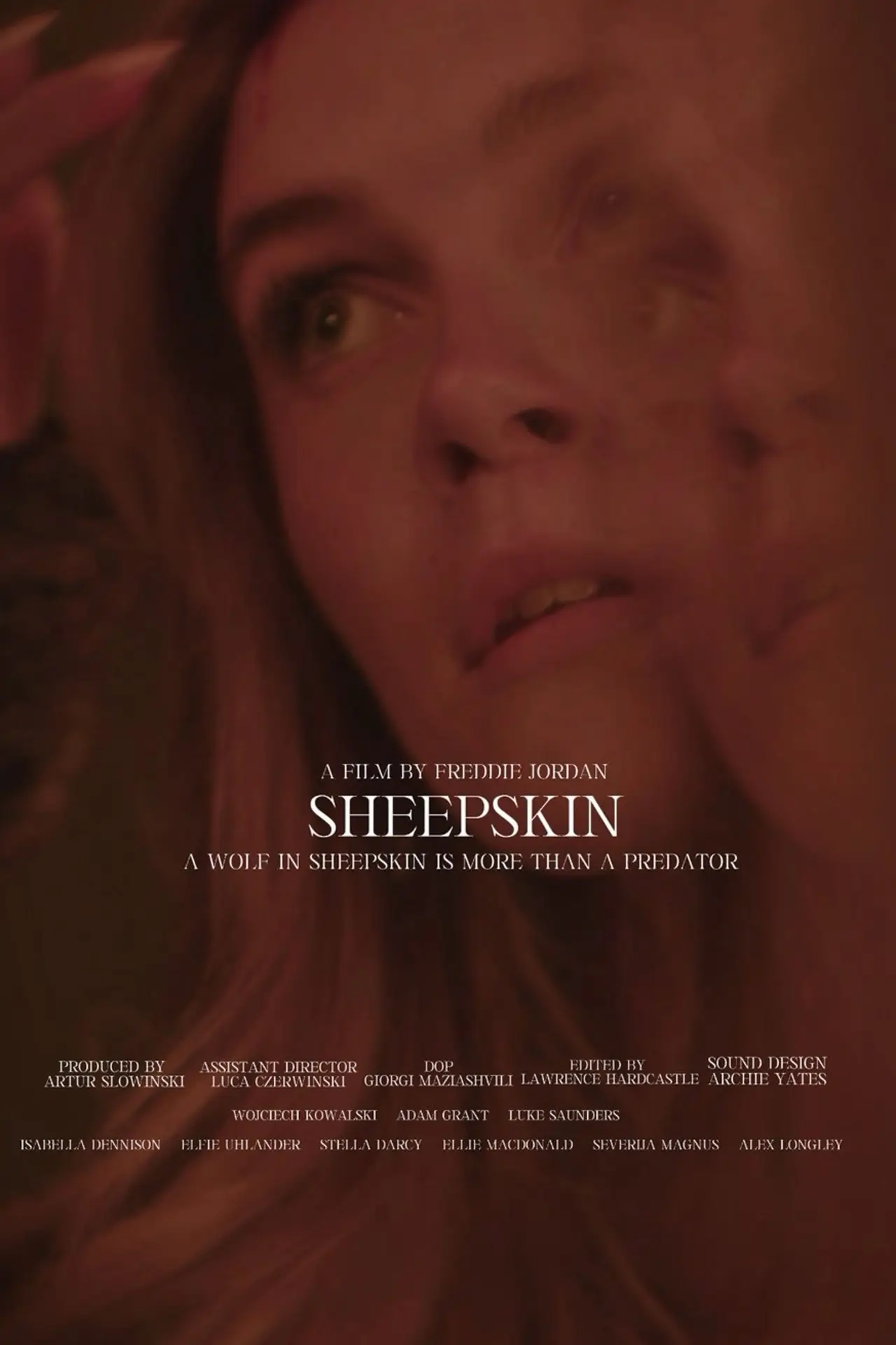 Plakat filmowy "Sheepskin"