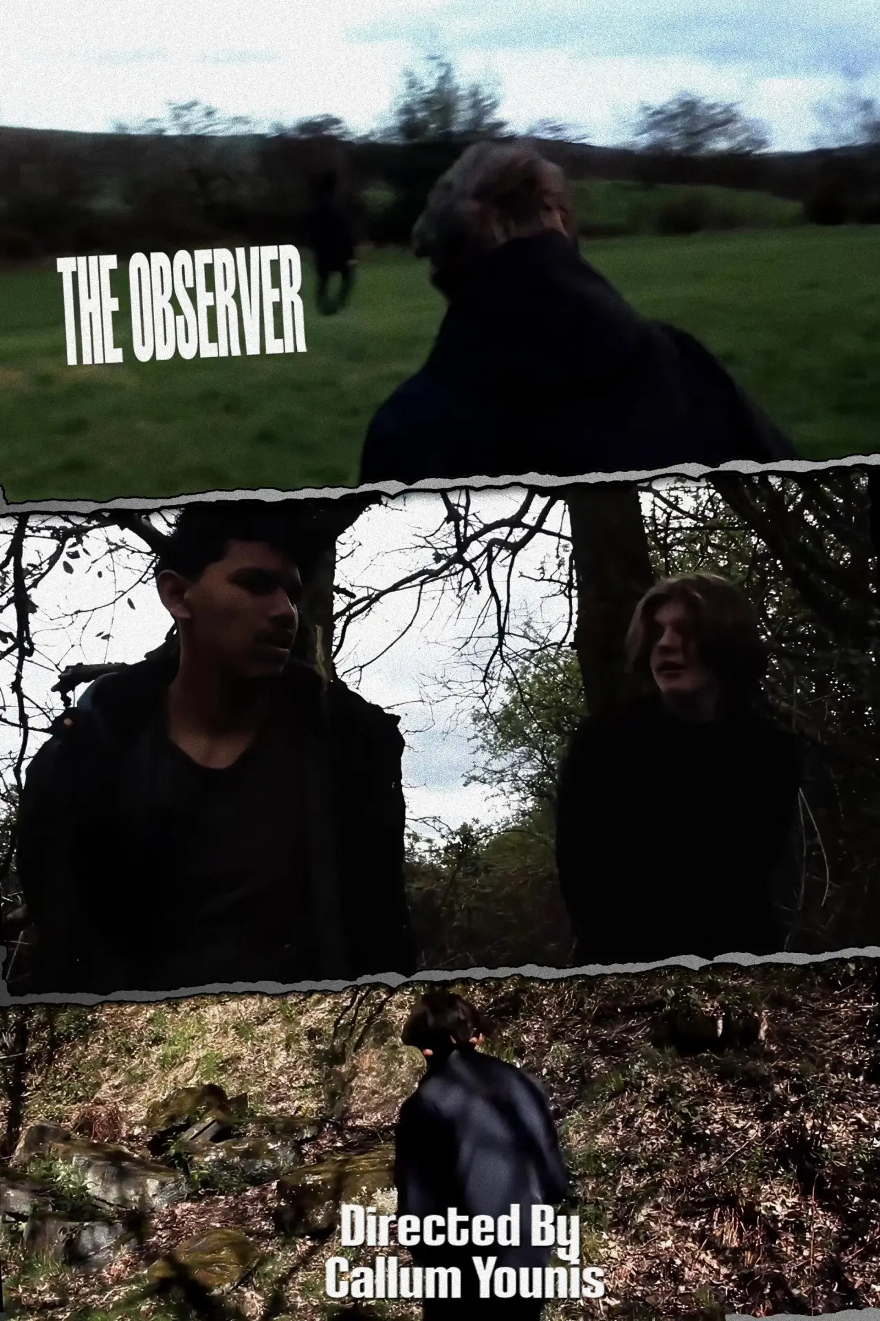 Plakat filmowy "The Observer"